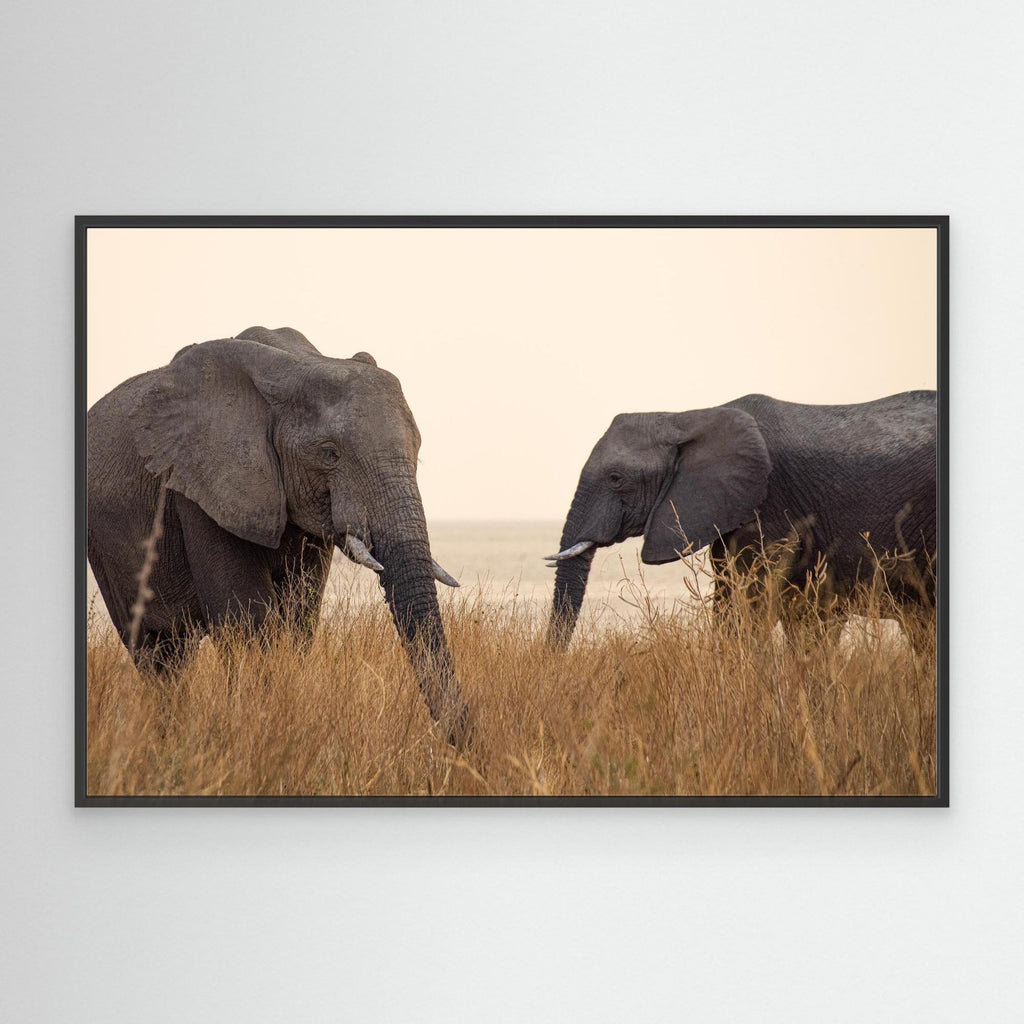 Elephants | Portrait Edition