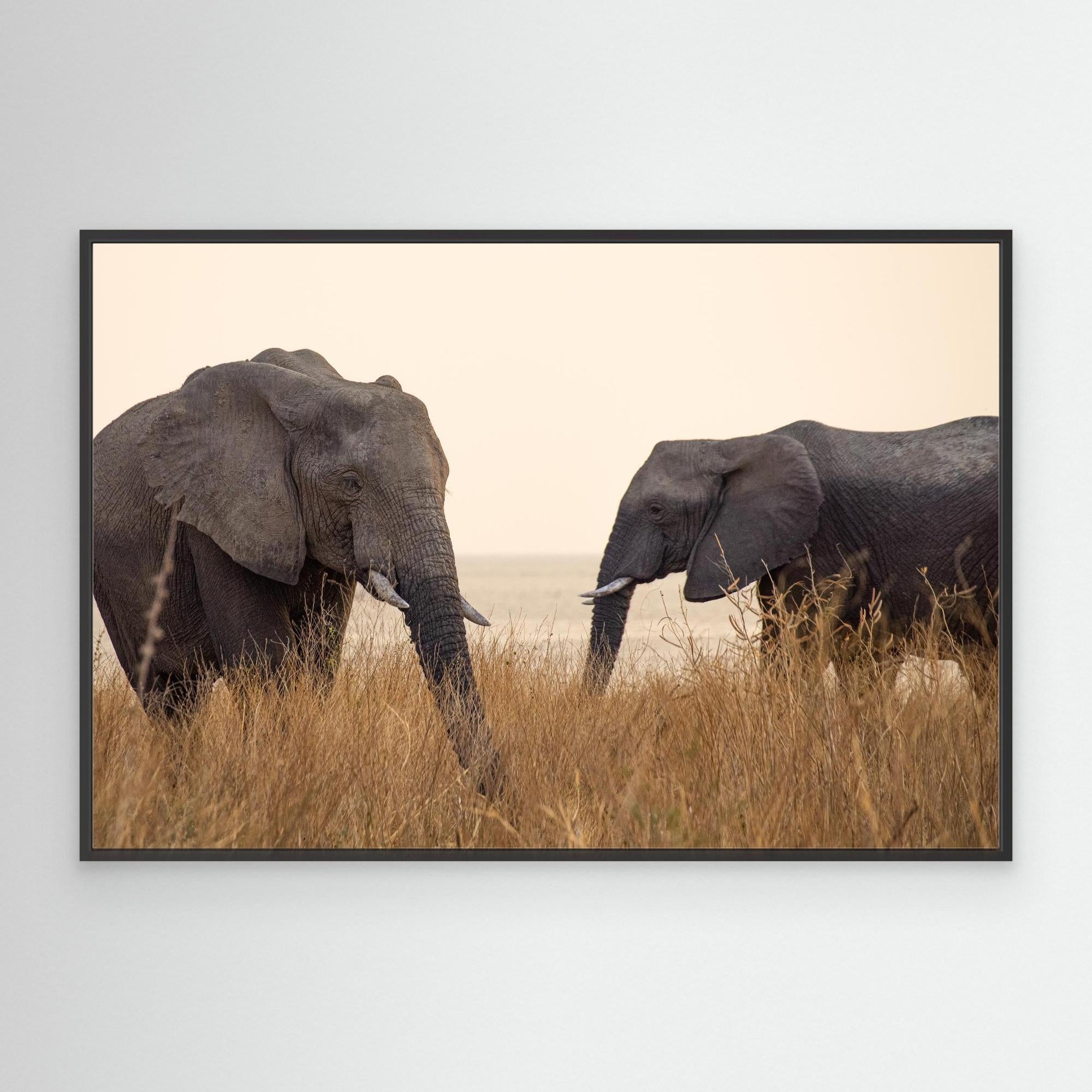 Elephants | Portrait Edition