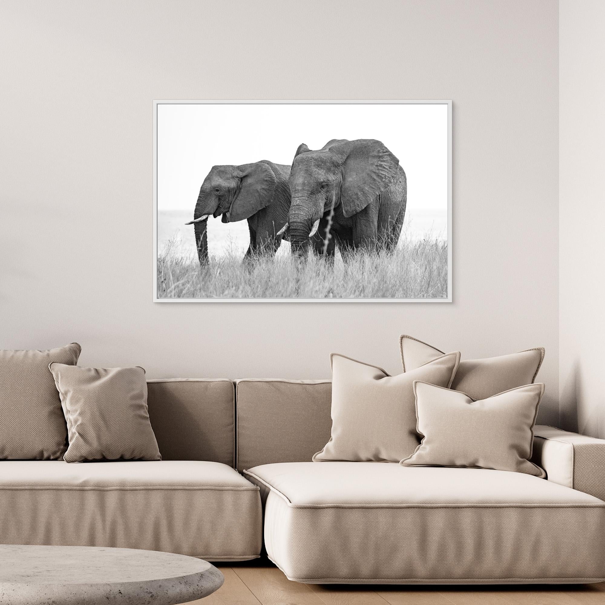 Elephants | Portrait Edition