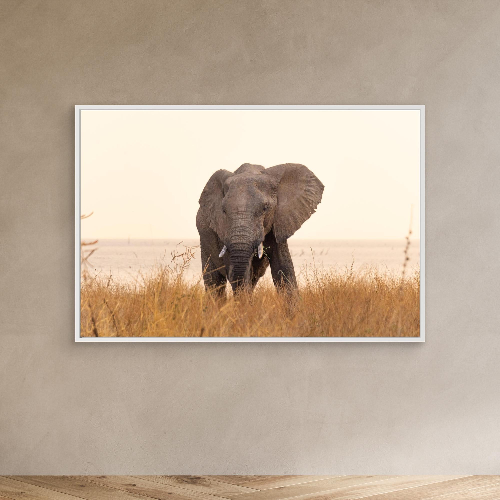 Elephants | Portrait Edition