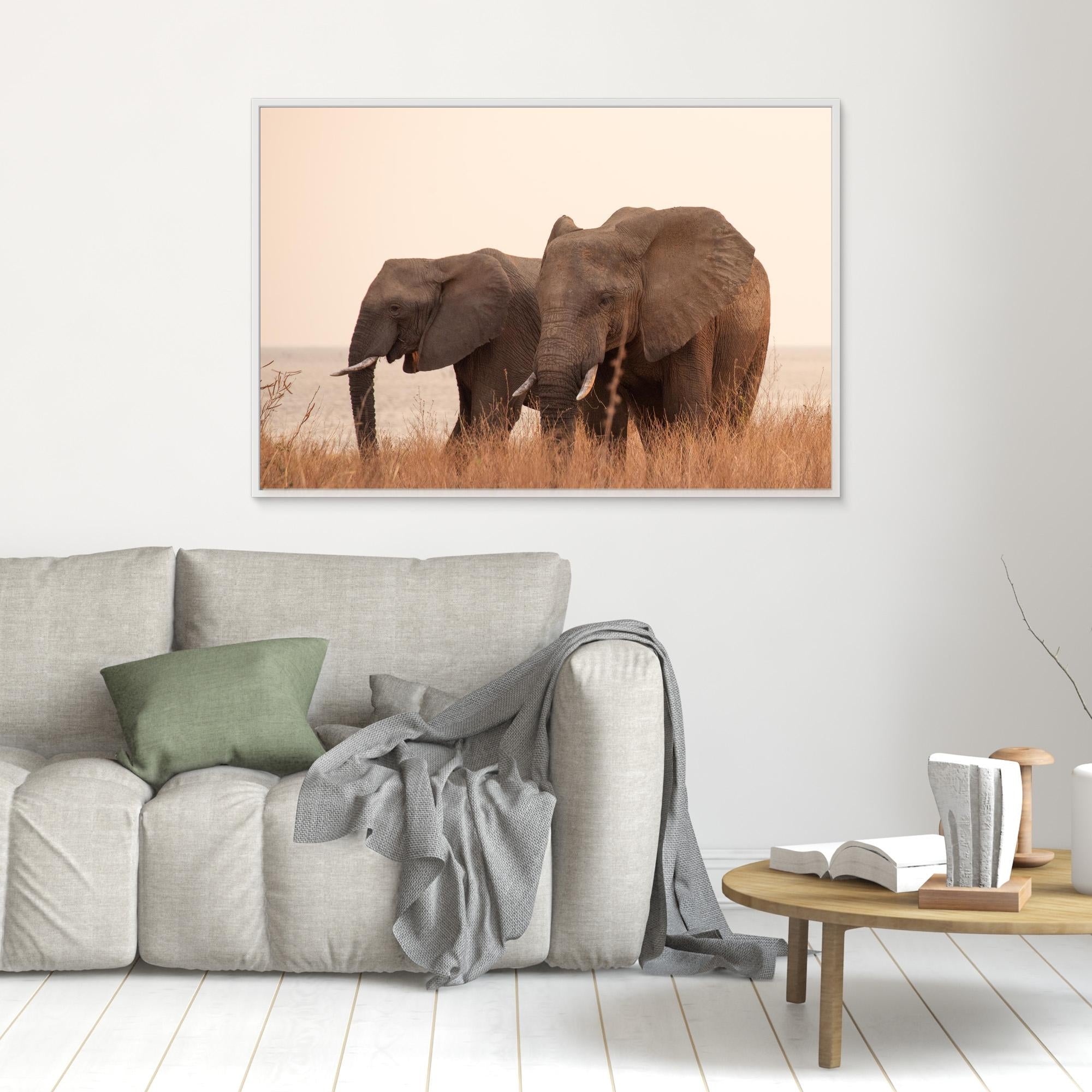 Elephants | Portrait Edition