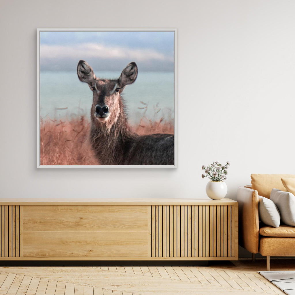 Africa’s Magic | Portrait Edition