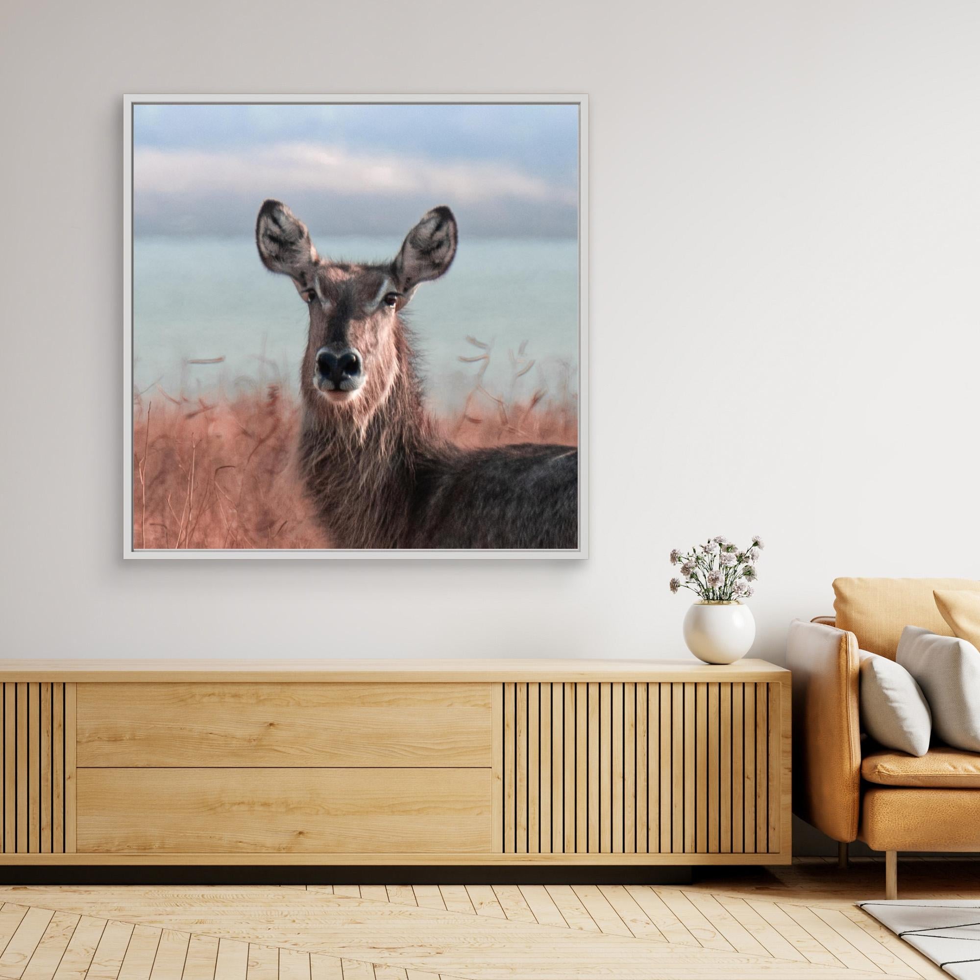 Africa’s Magic | Portrait Edition