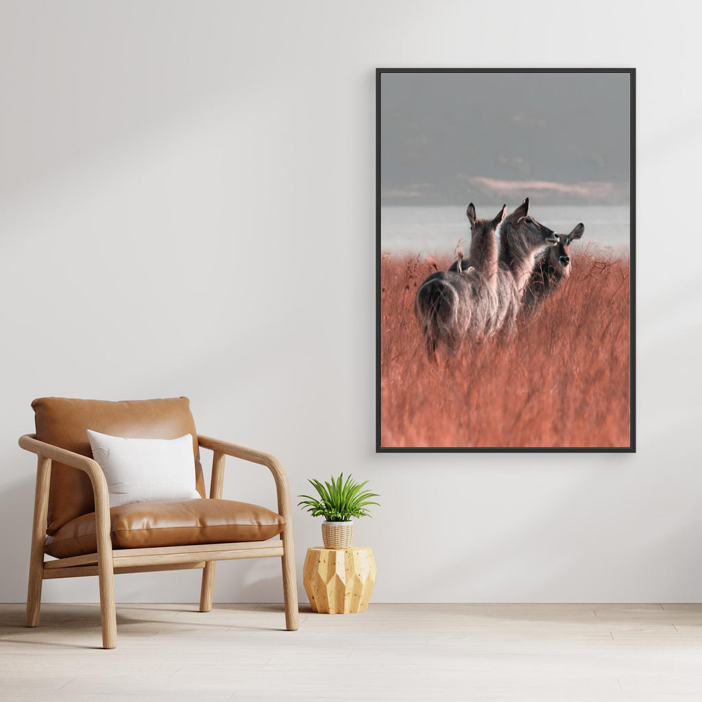 Africa’s Magic | Portrait Edition