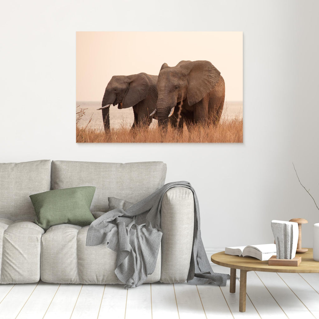 Elephants | Portrait Edition