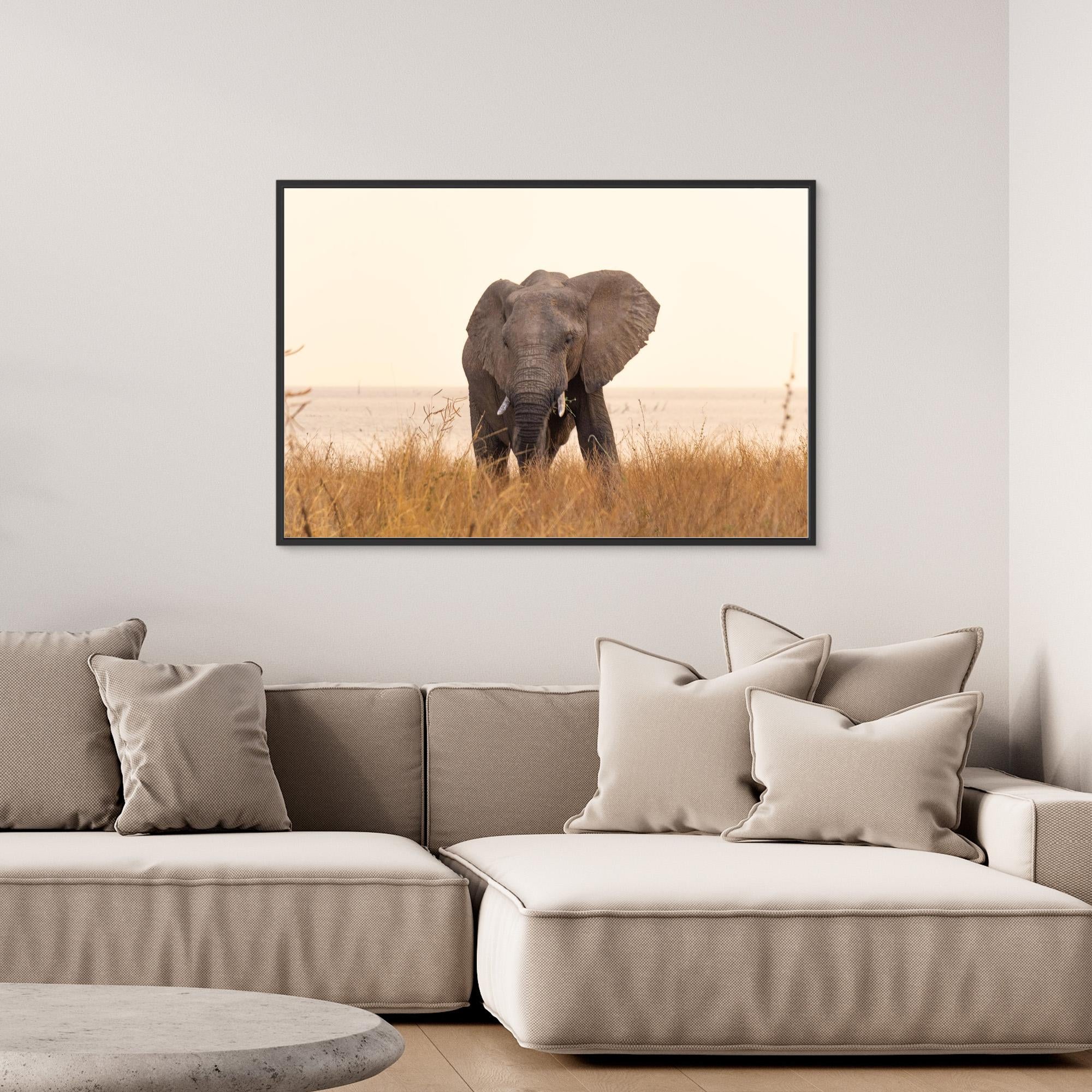 Elephants | Portrait Edition