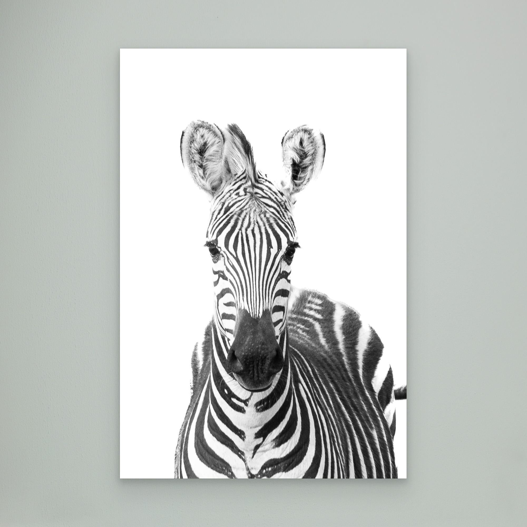 Black, White and Wild | Portrait Edition