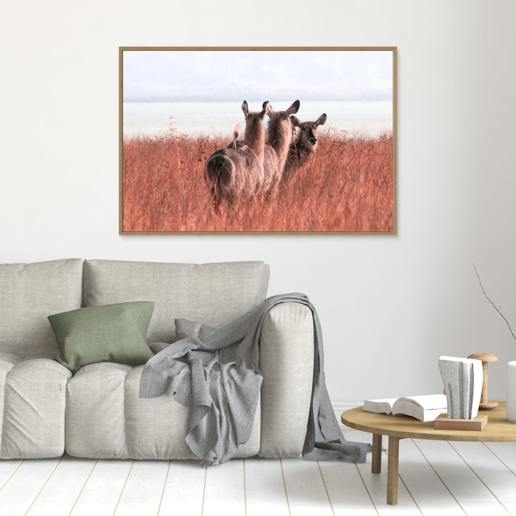 Africa’s Magic | Portrait Edition