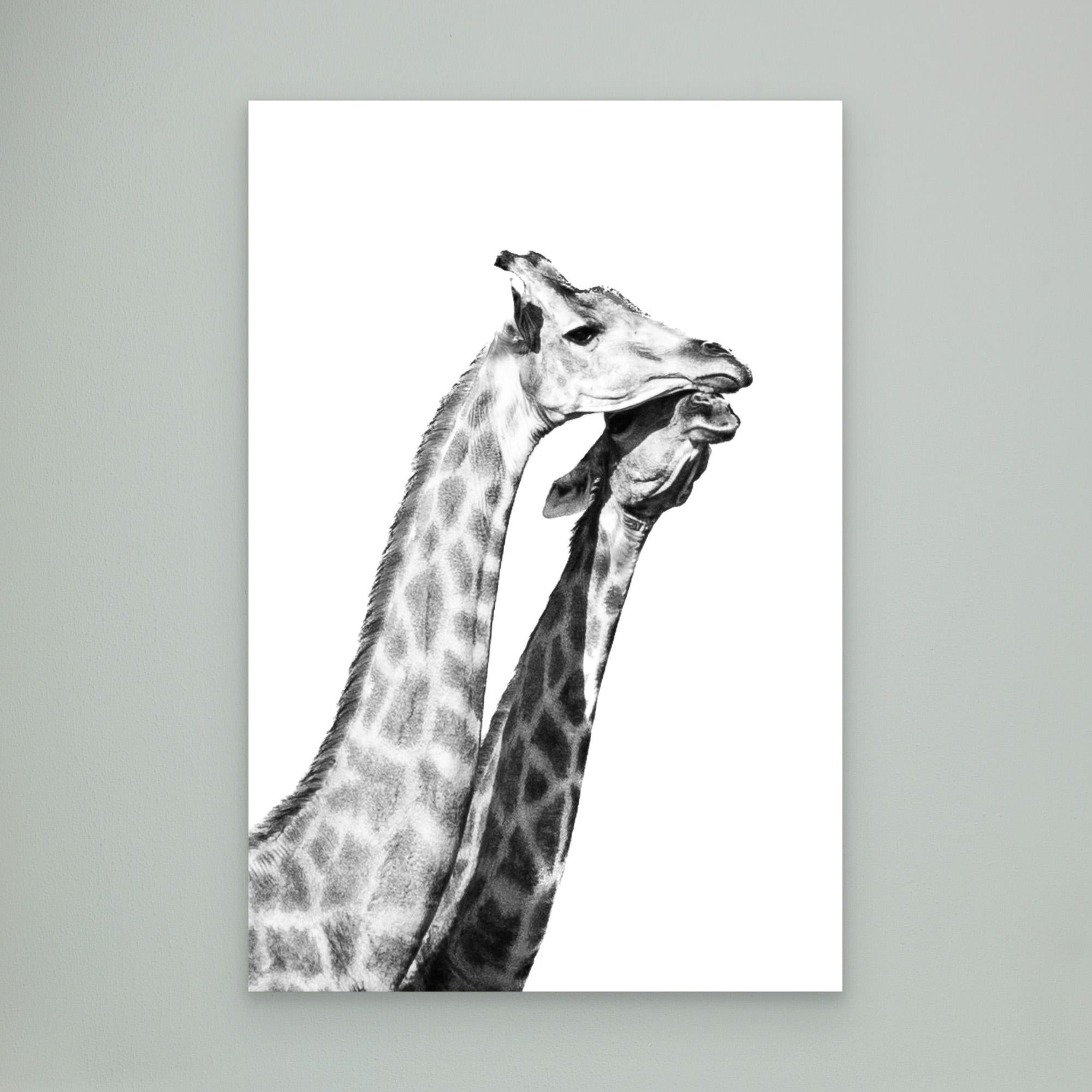 Africa’s Skyline Walkers in Love | Portrait Edition