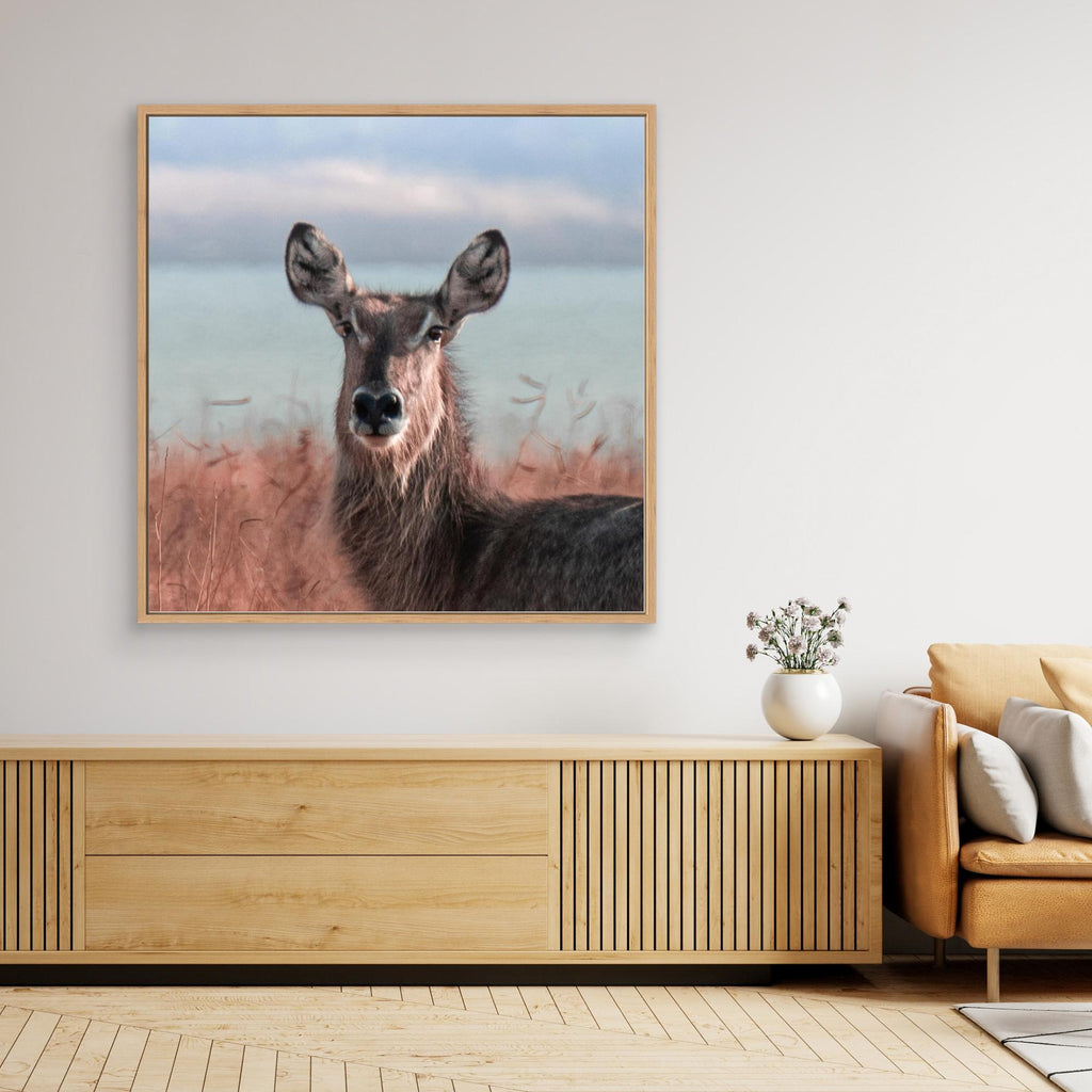 Africa’s Magic | Portrait Edition