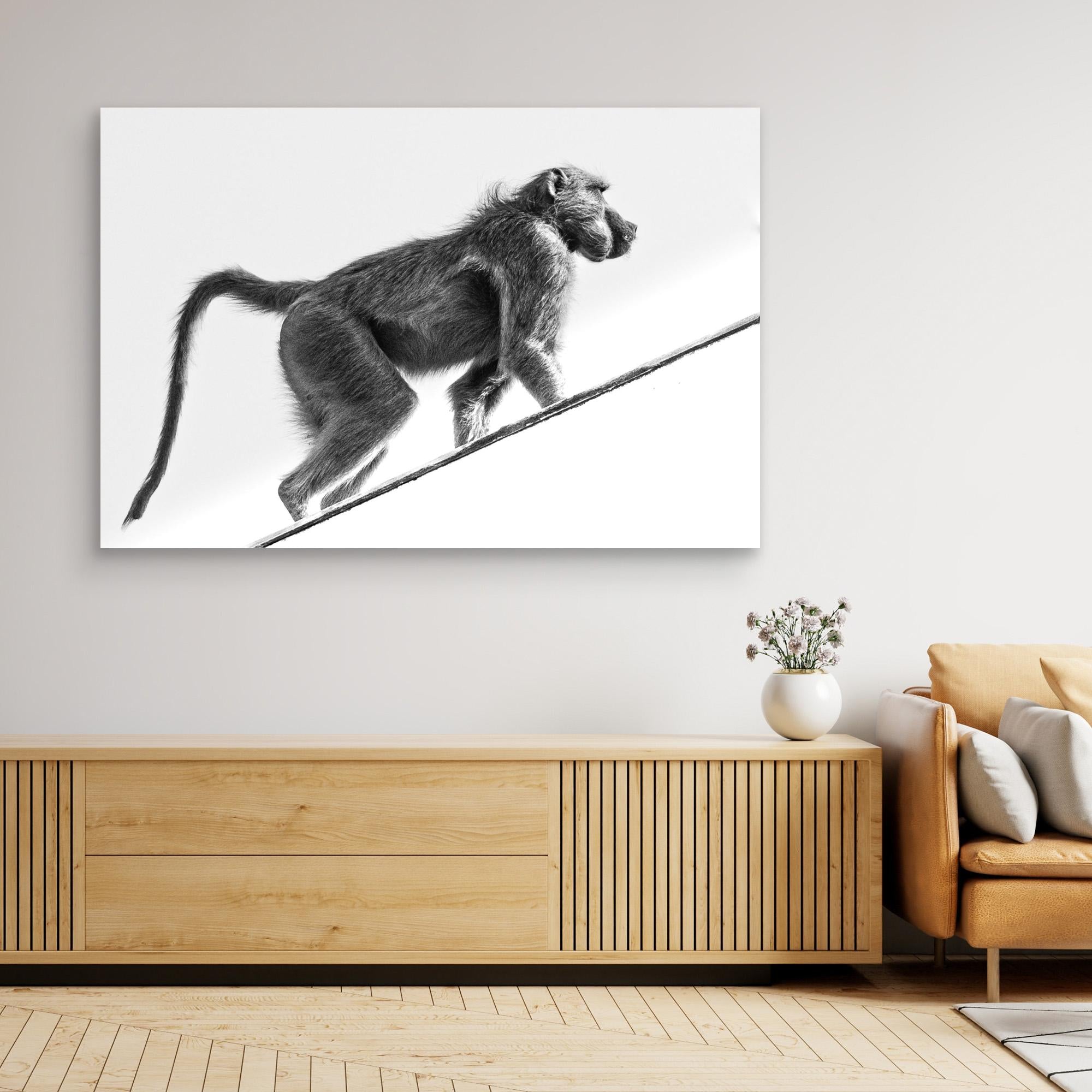 Vicious Africa | Portrait Edition