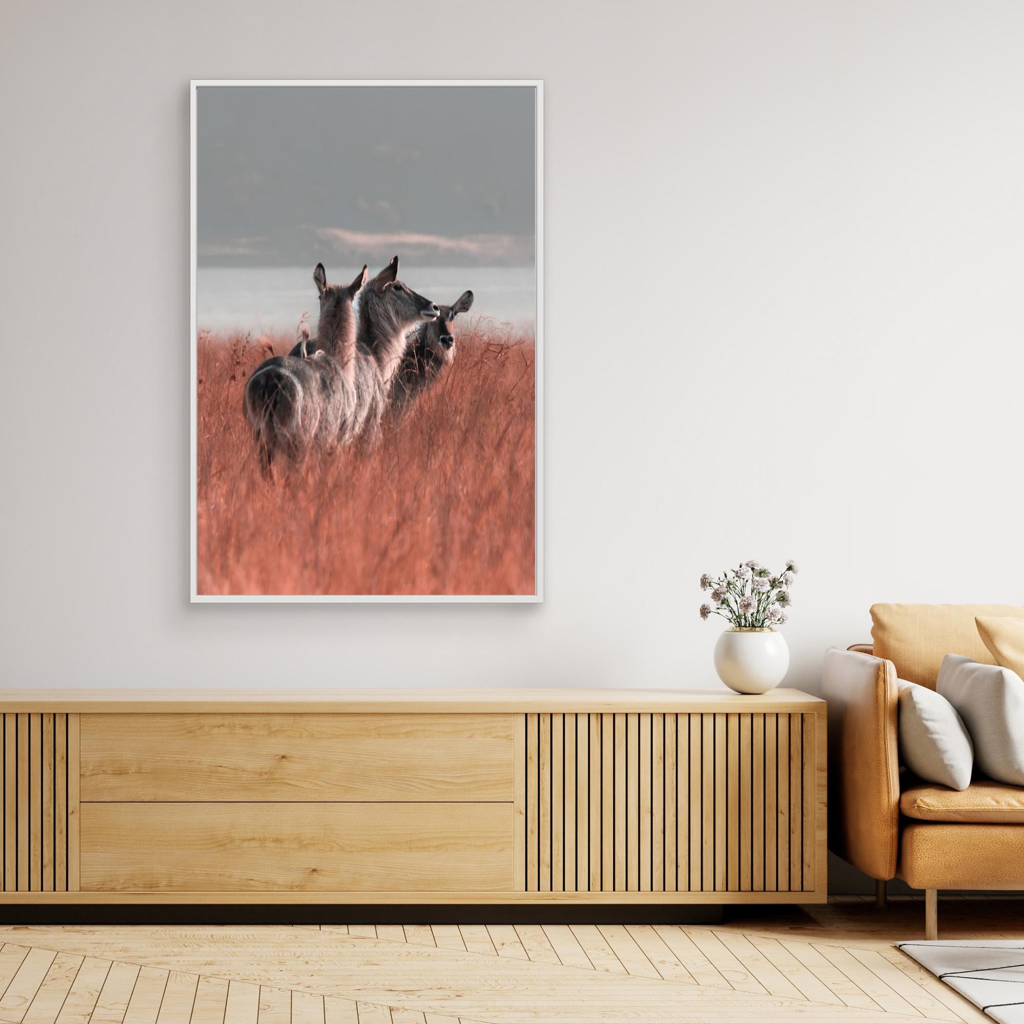 Africa’s Magic | Portrait Edition