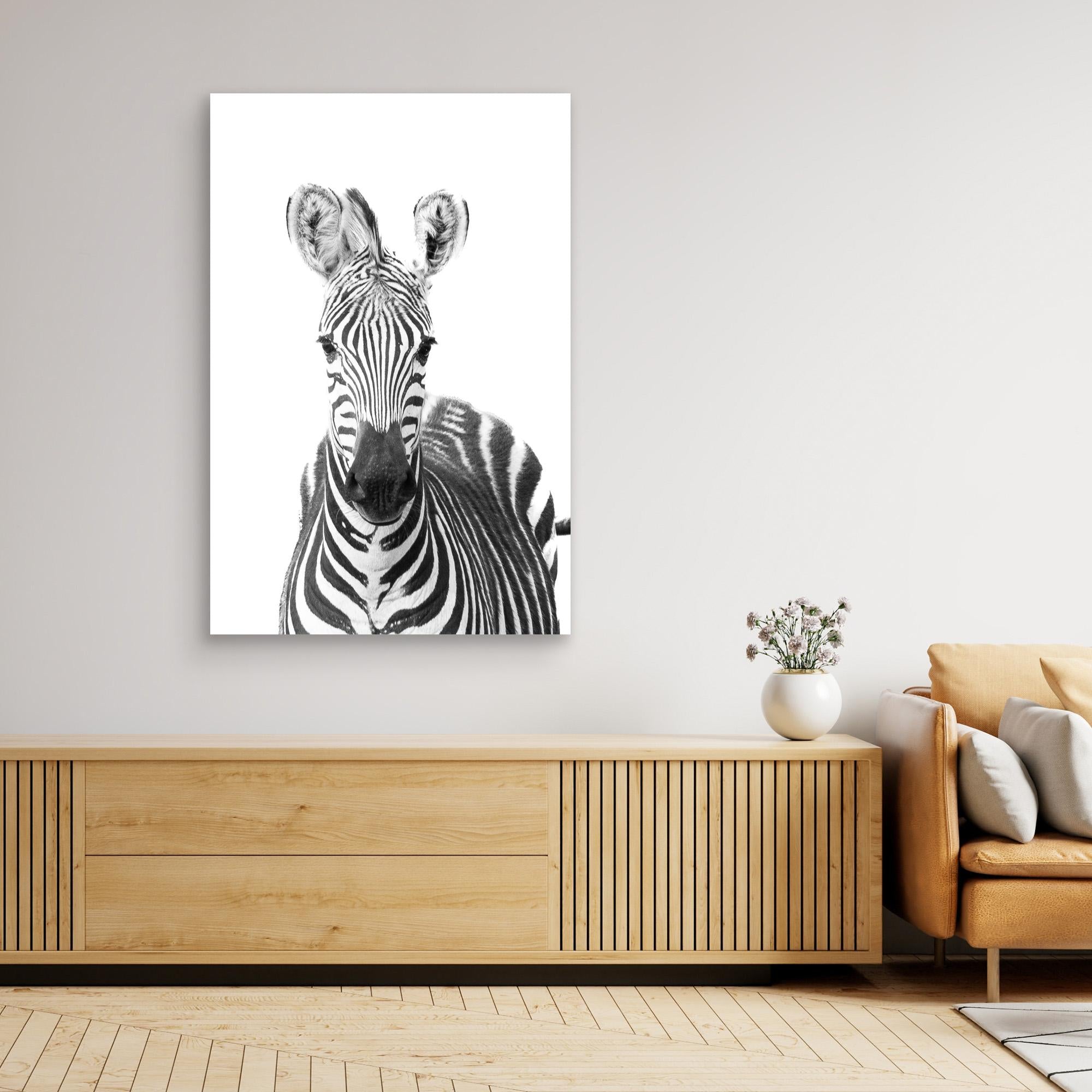 Black, White and Wild | Portrait Edition