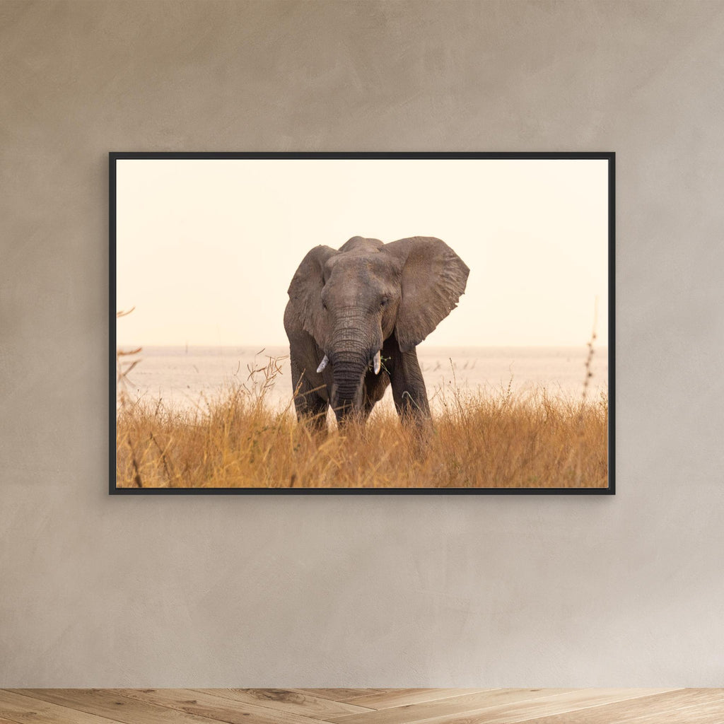 Elephants | Portrait Edition