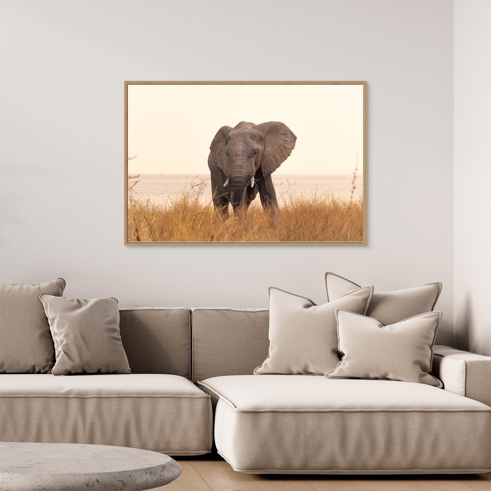 Elephants | Portrait Edition