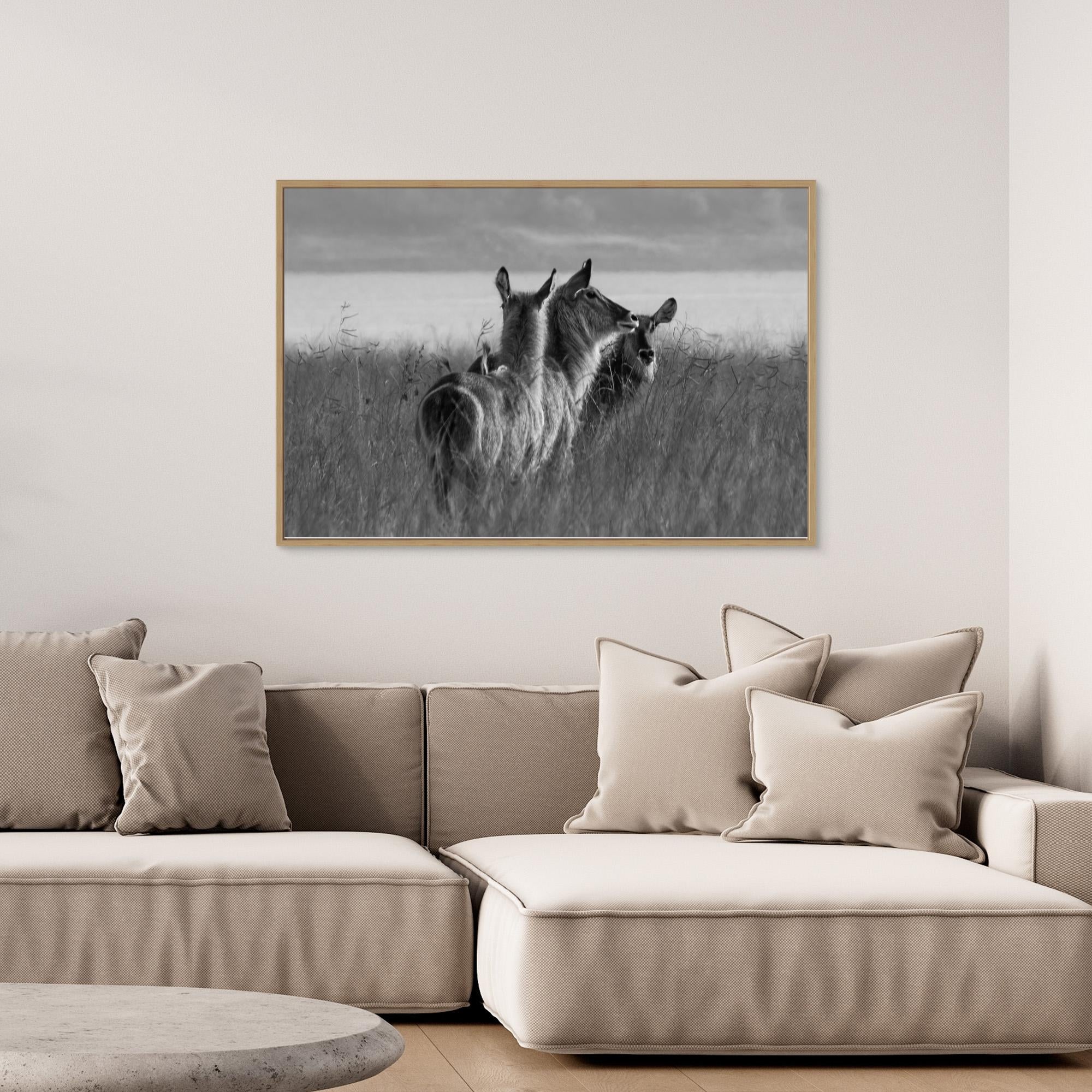 Africa’s Wonders | Portrait Edition