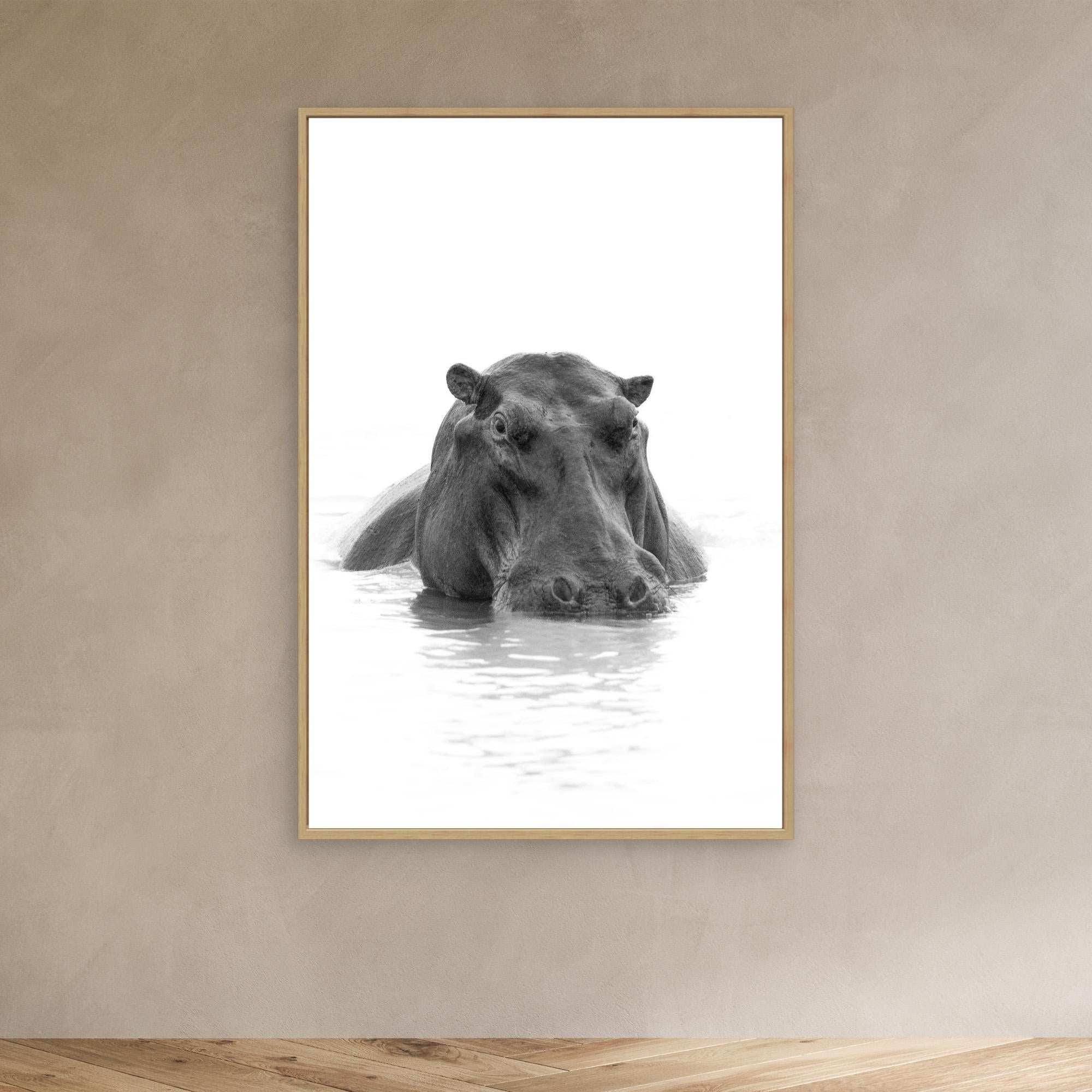 Hippo | Portrait Edition