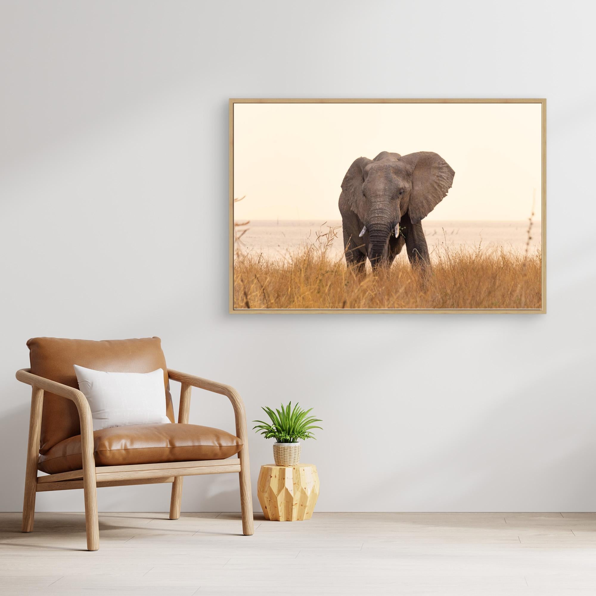 Elephants | Portrait Edition