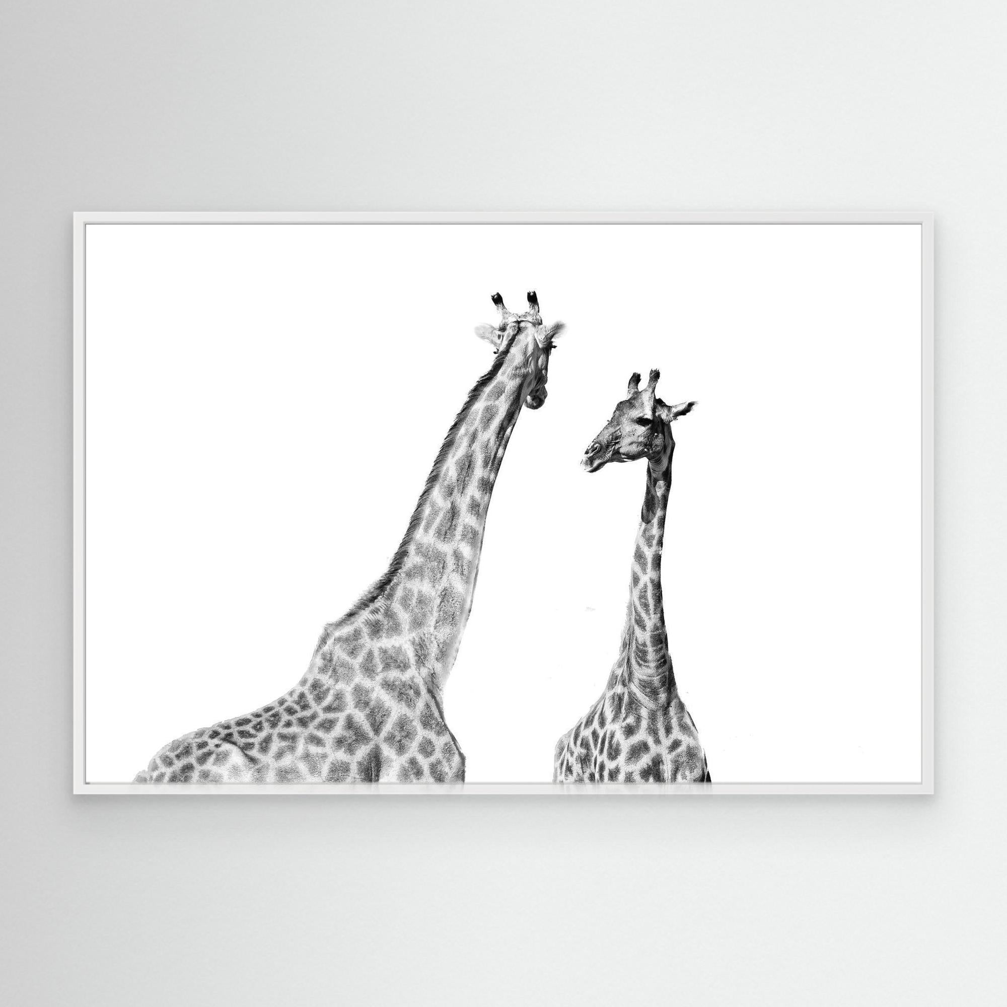 Africa’s Skyline Walkers | Portrait Edition