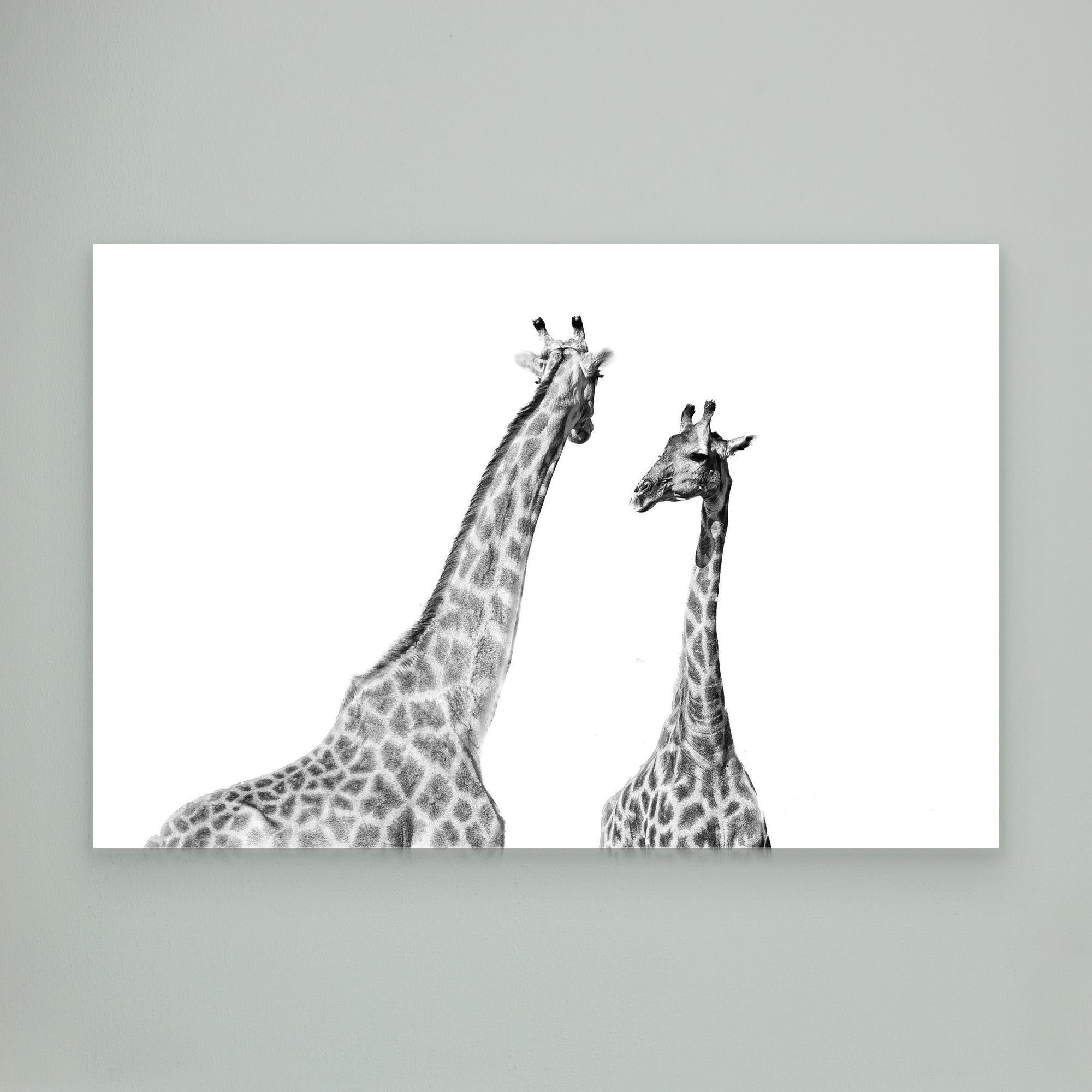 Africa’s Skyline Walkers | Portrait Edition