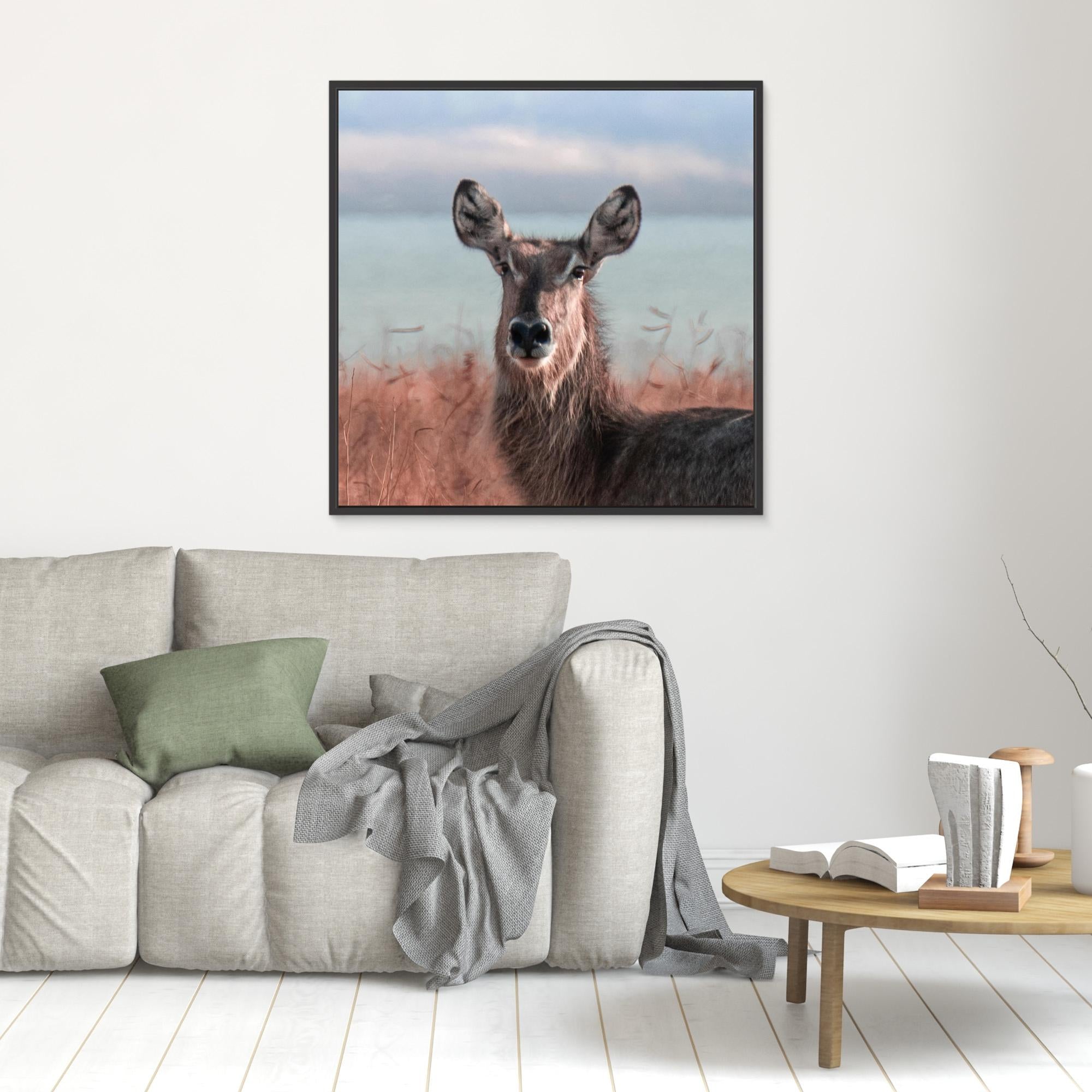 Africa’s Magic | Portrait Edition