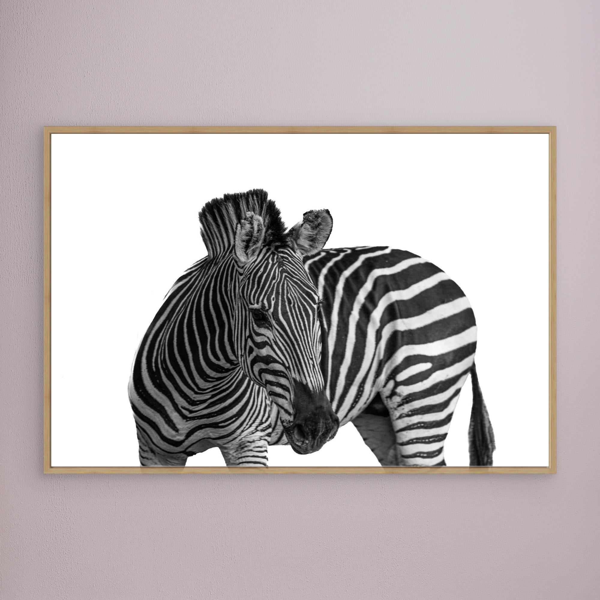 Raw Energy | Portrait Edition