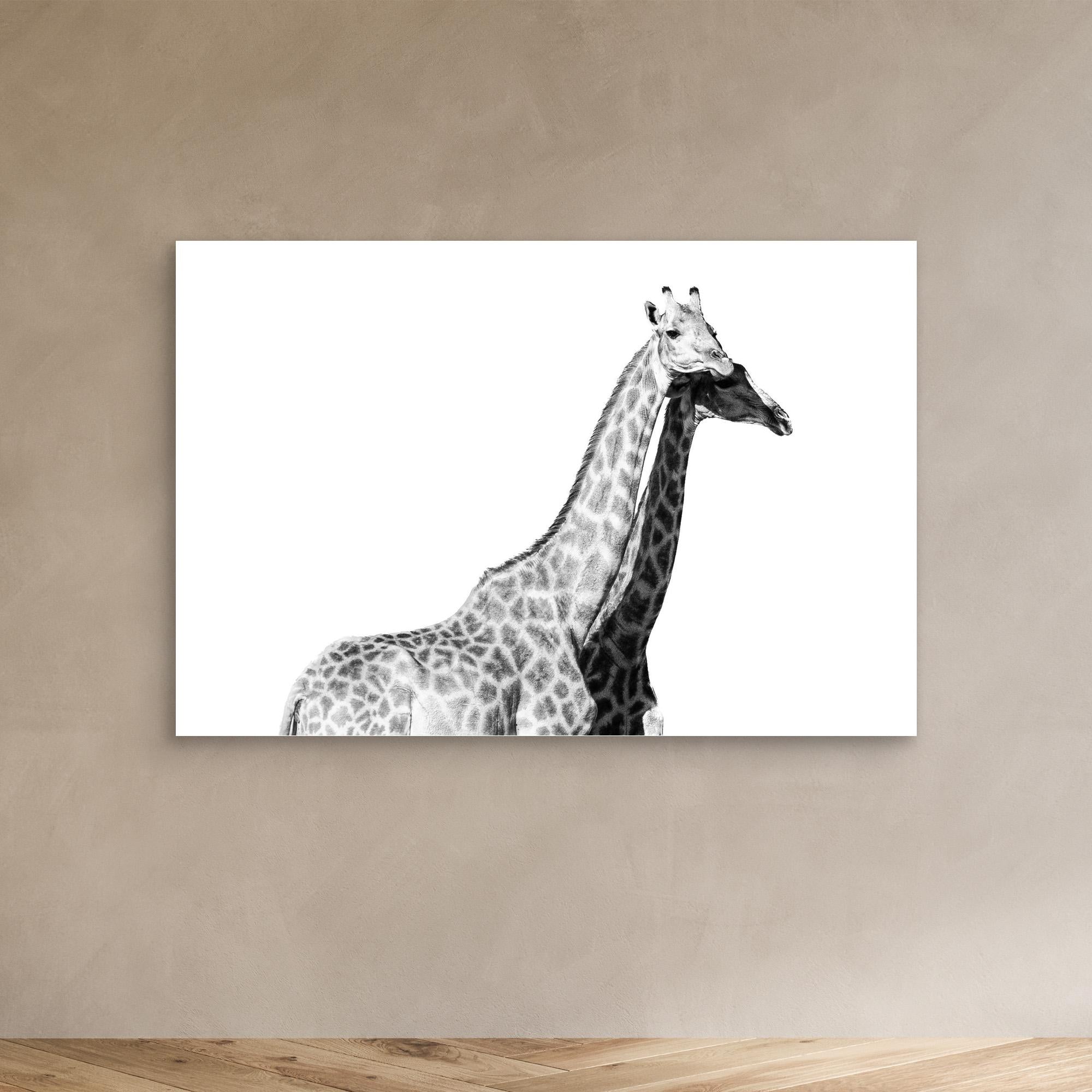 Africa’s Skyline Walkers | Portrait Edition