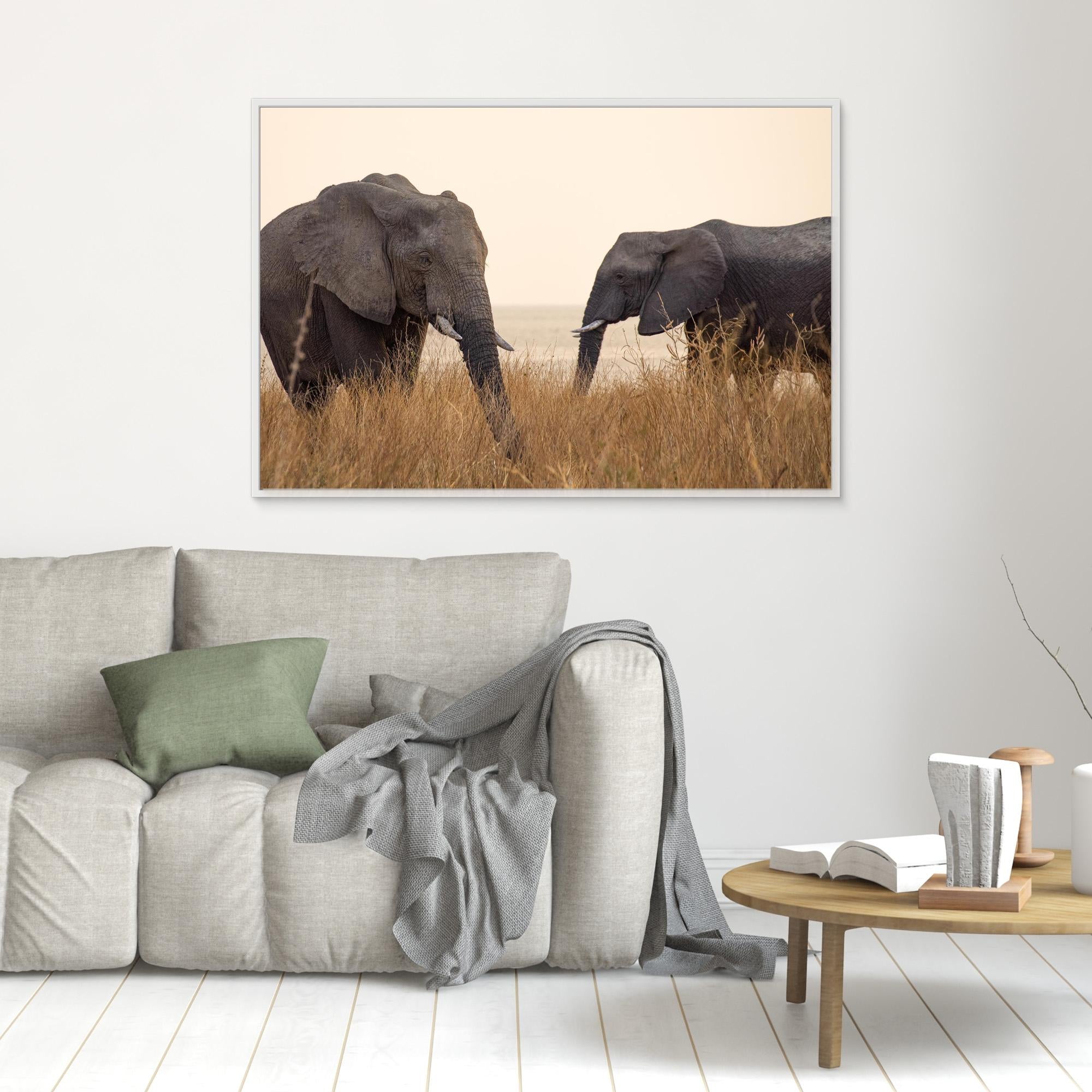 Elephants | Portrait Edition