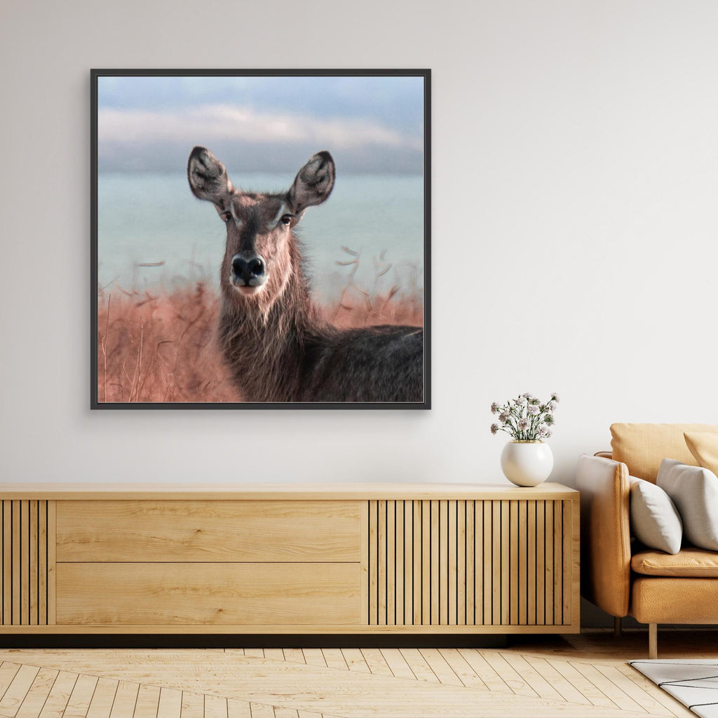 Africa’s Magic | Portrait Edition