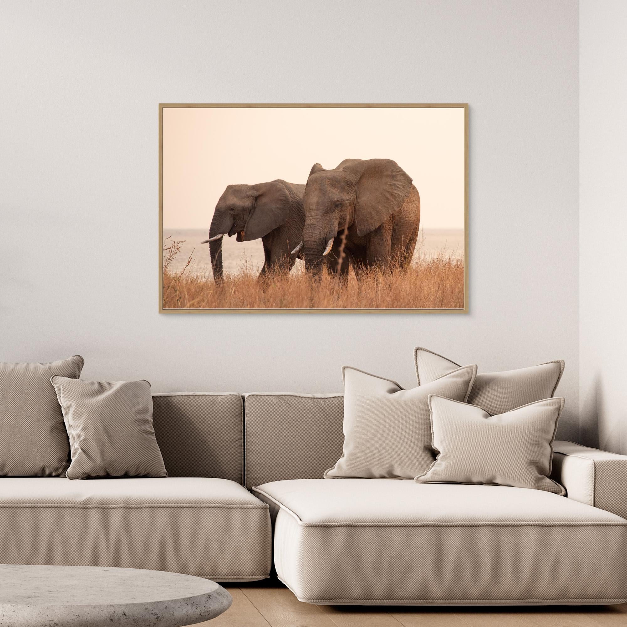Elephants | Portrait Edition