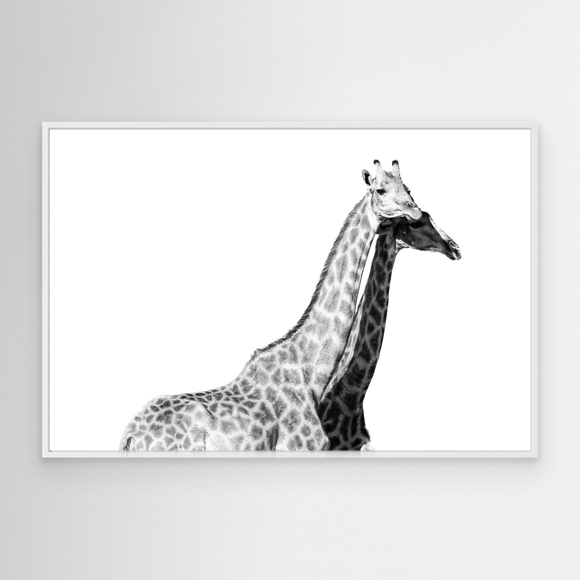 Africa’s Skyline Walkers | Portrait Edition