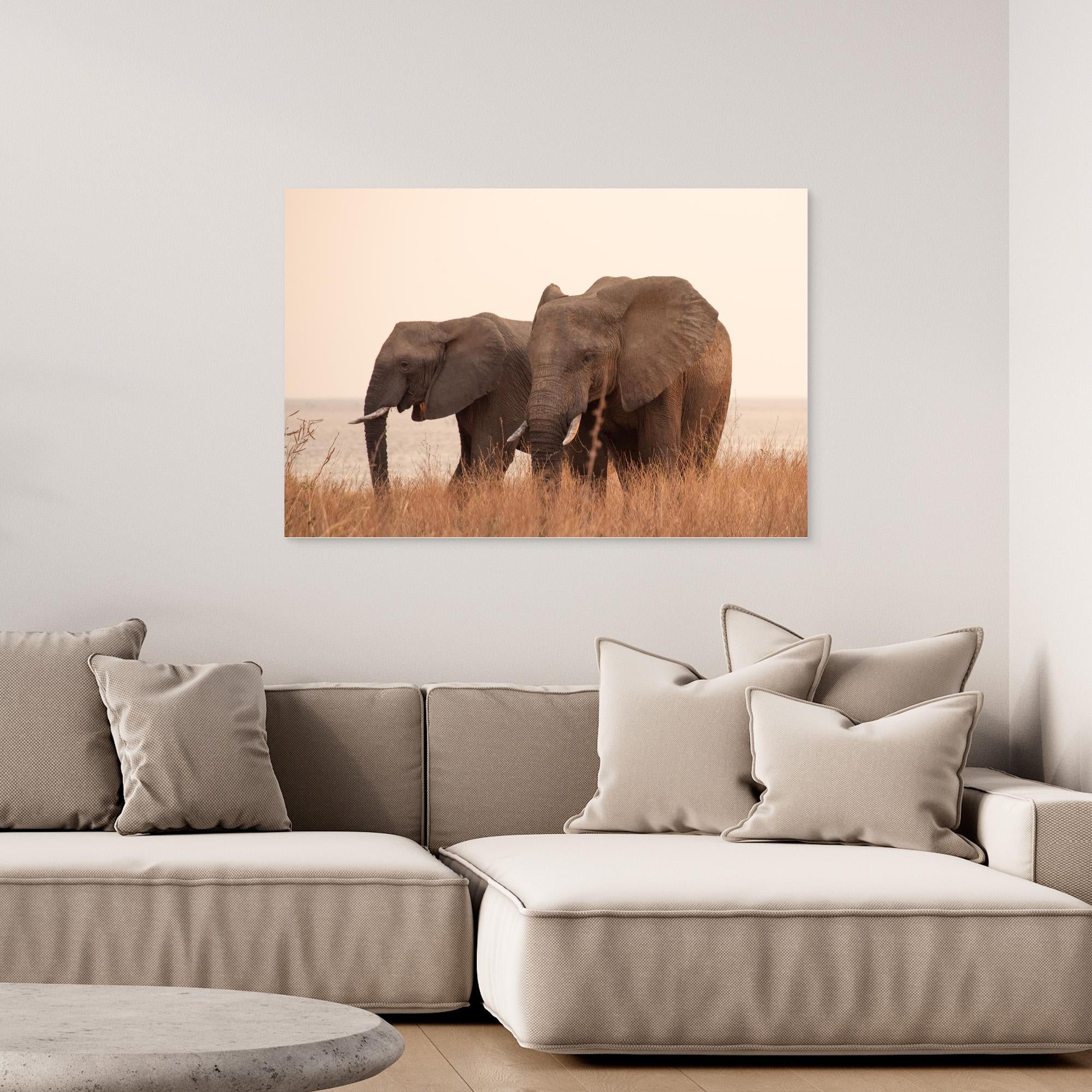 Elephants | Portrait Edition