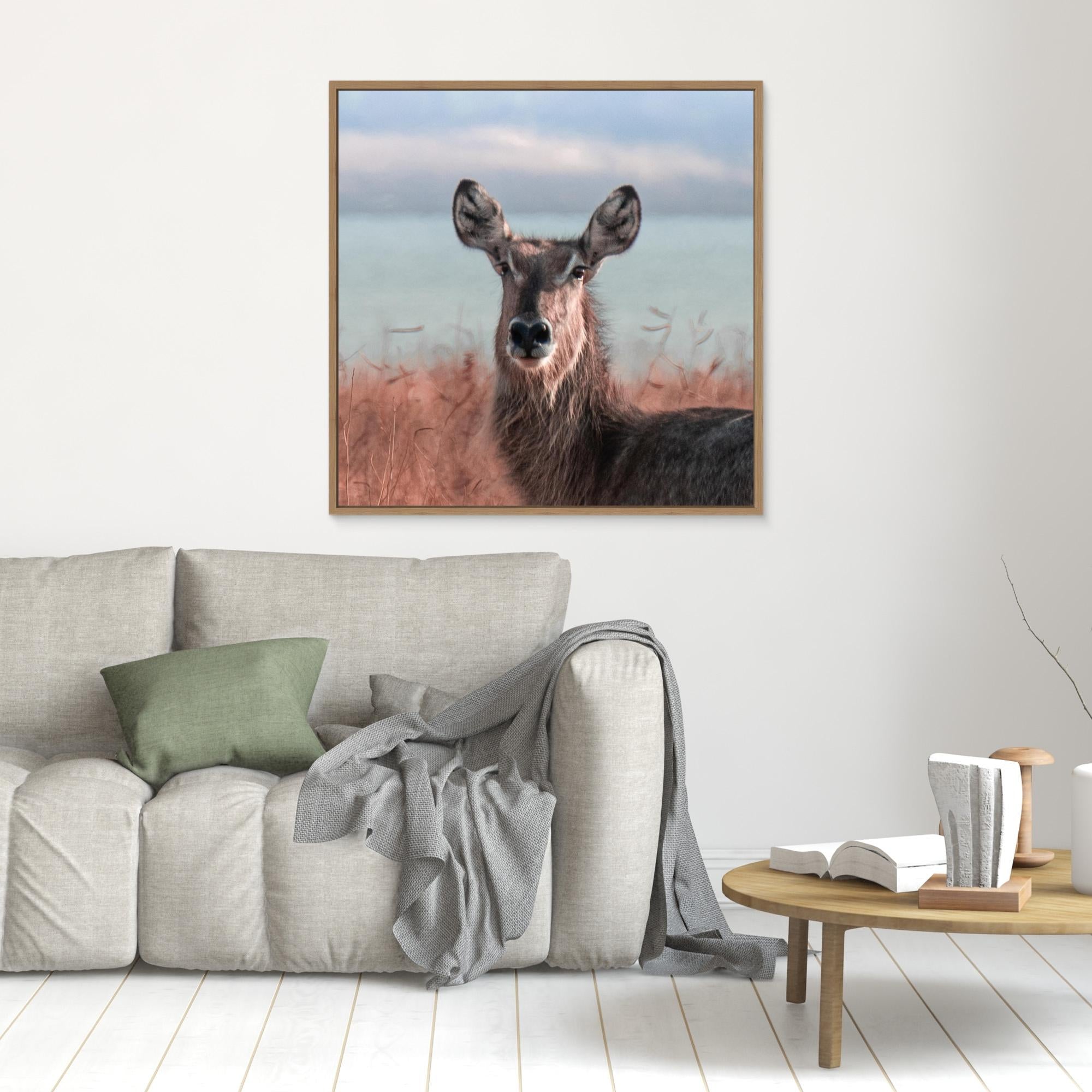 Africa’s Magic | Portrait Edition