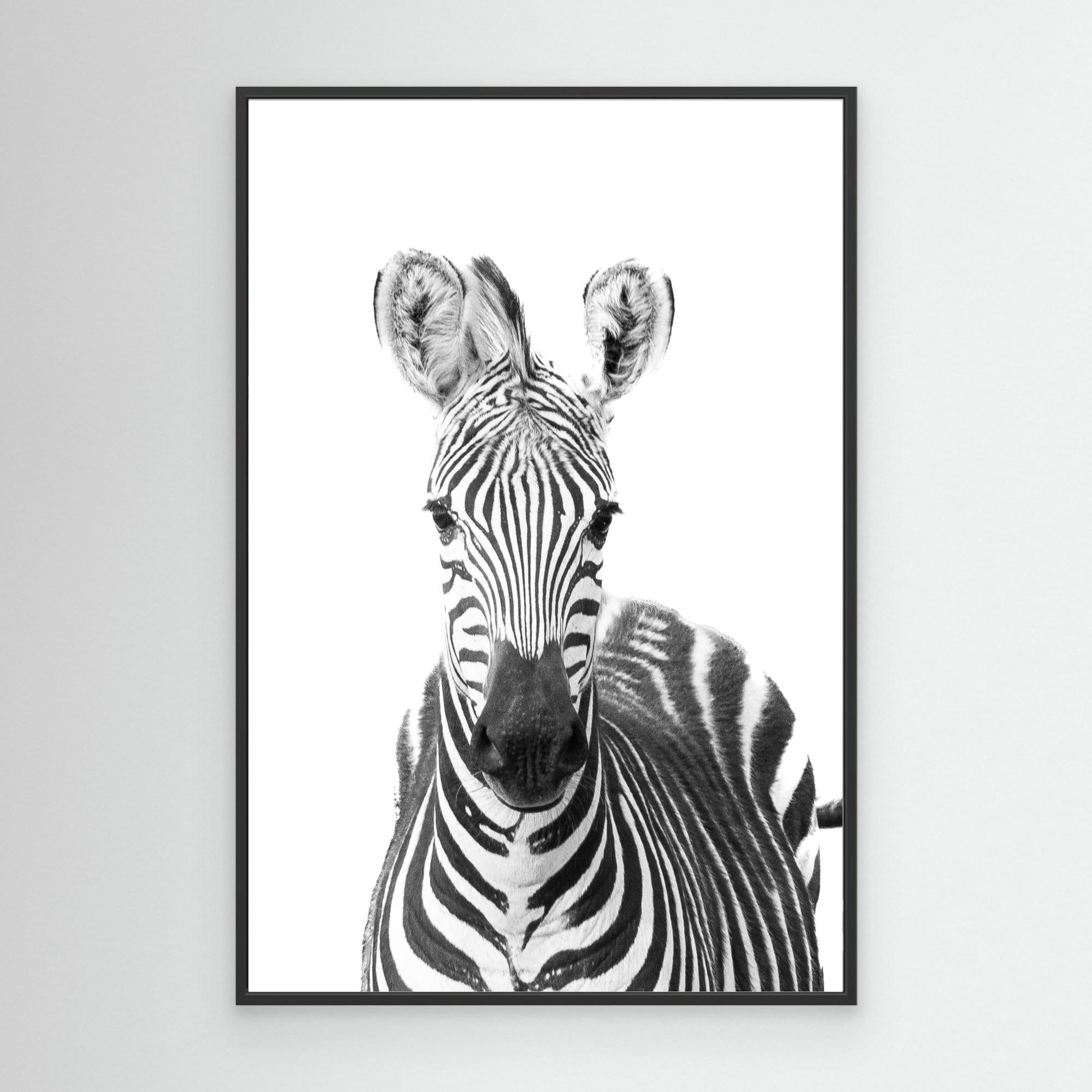 Black, White and Wild | Portrait Edition