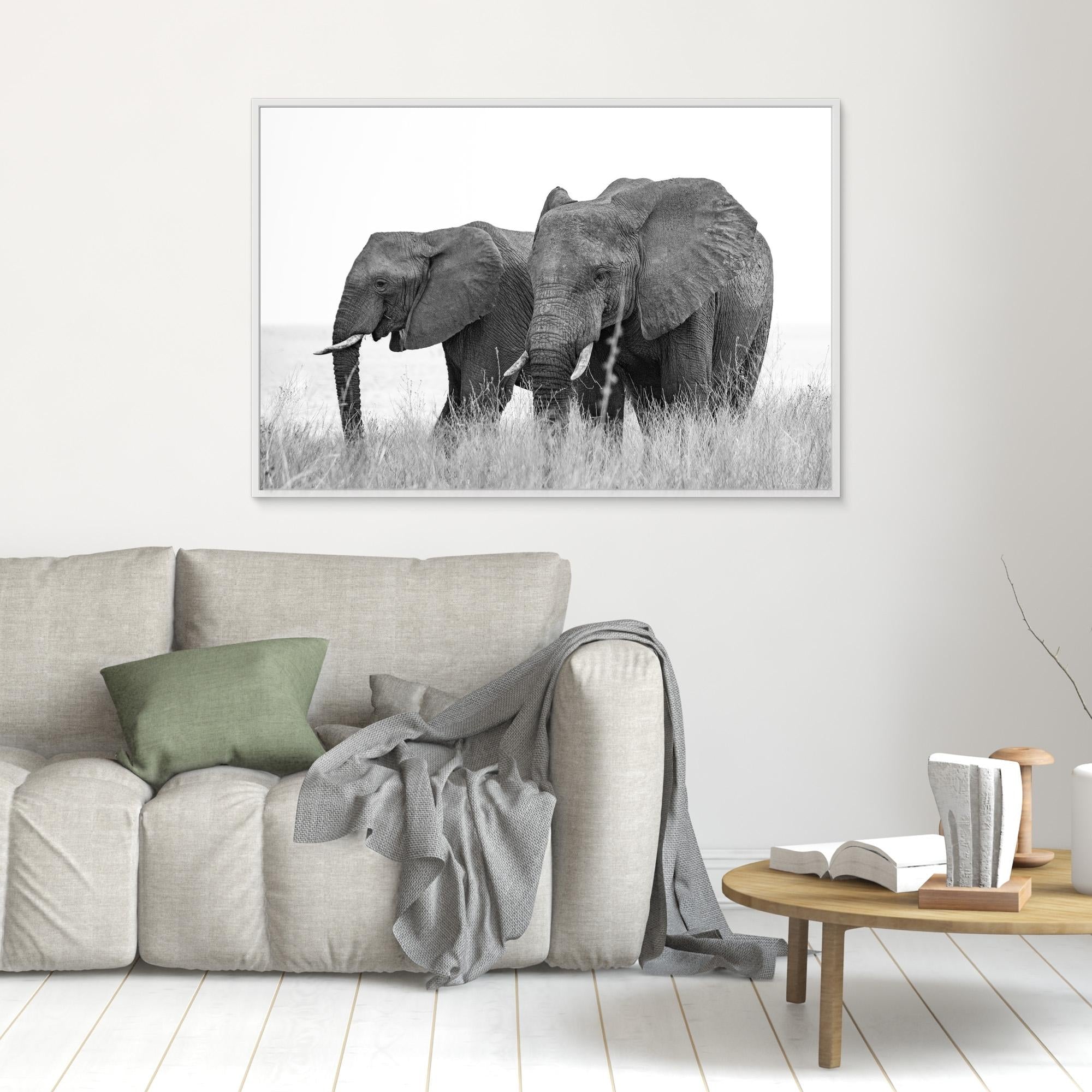 Elephants | Portrait Edition
