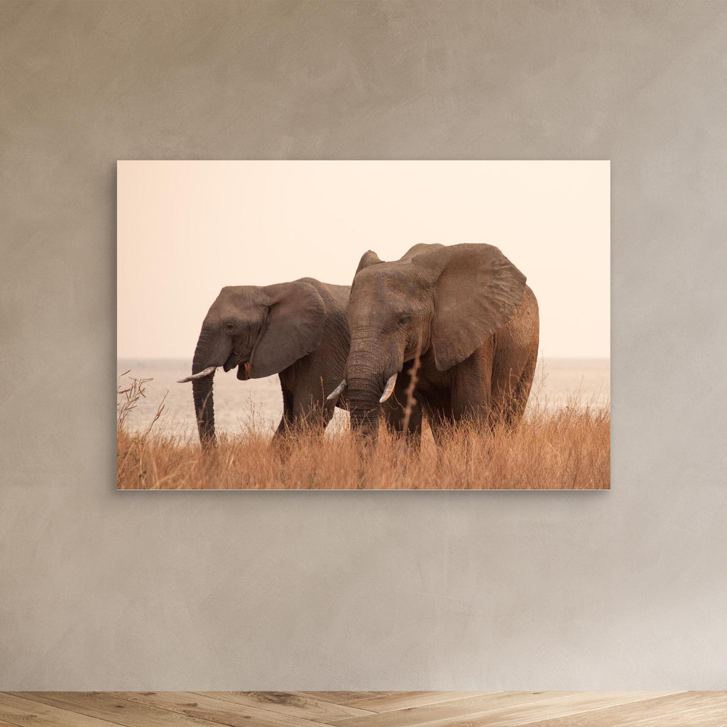 Elephants | Portrait Edition