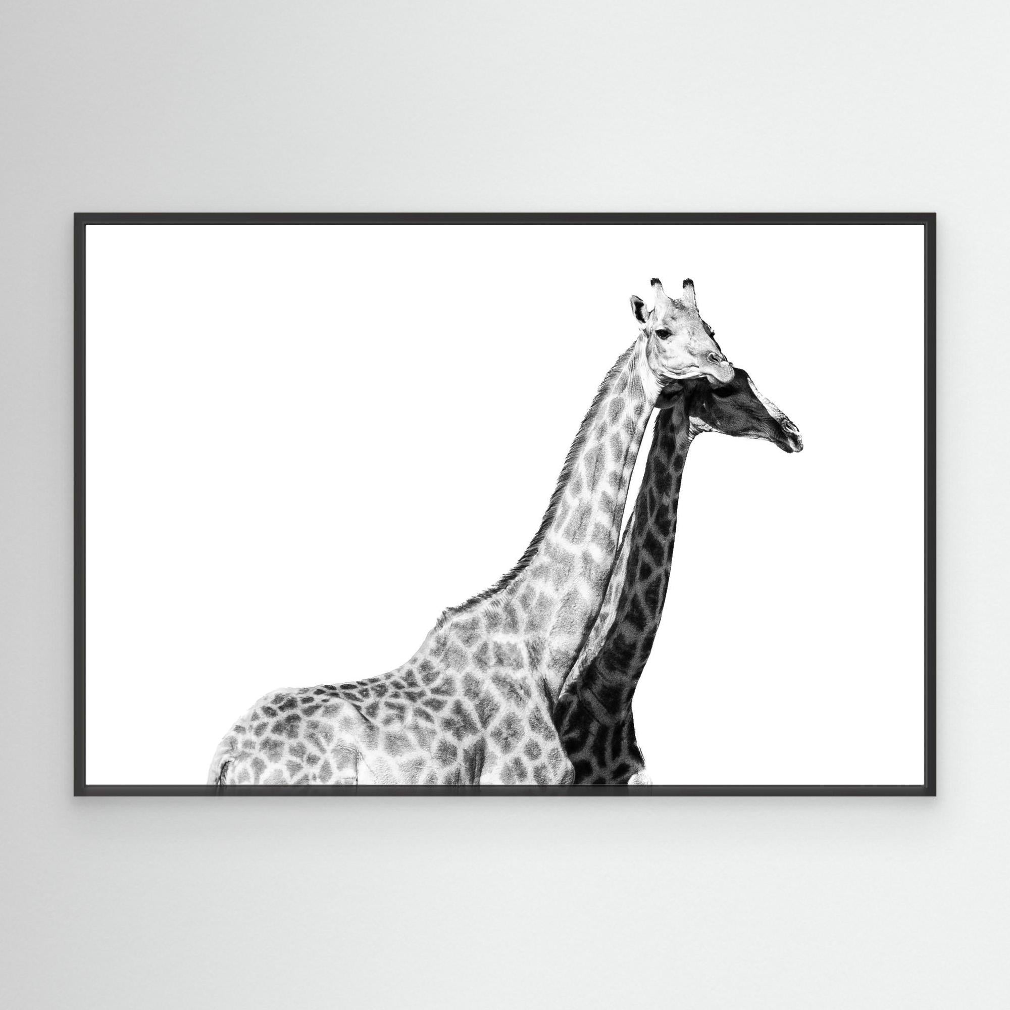 Africa’s Skyline Walkers | Portrait Edition