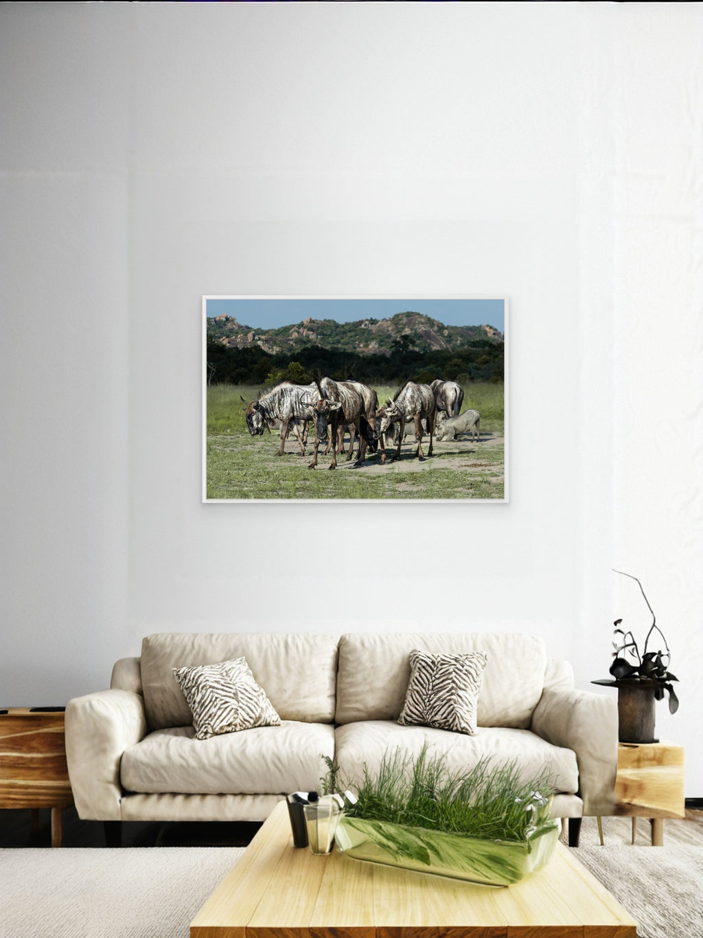 Wildebeast | Special Edition