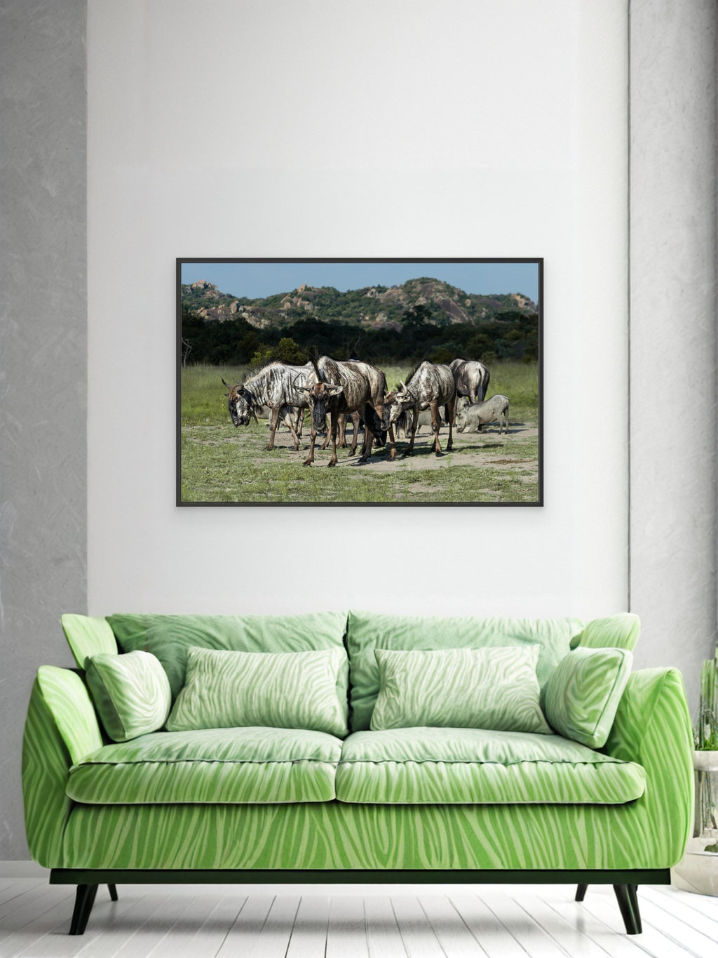 Wildebeast | Special Edition