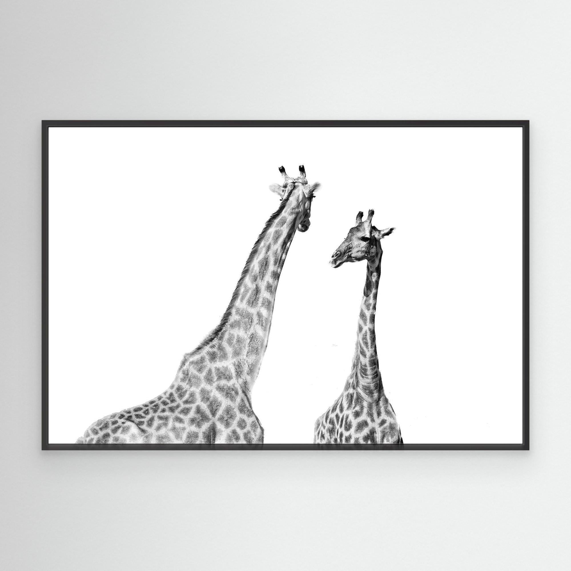 Africa’s Skyline Walkers | Portrait Edition