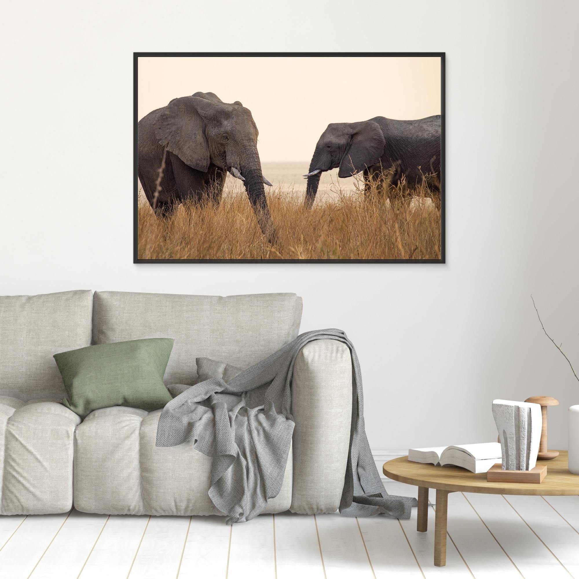 Elephants | Portrait Edition