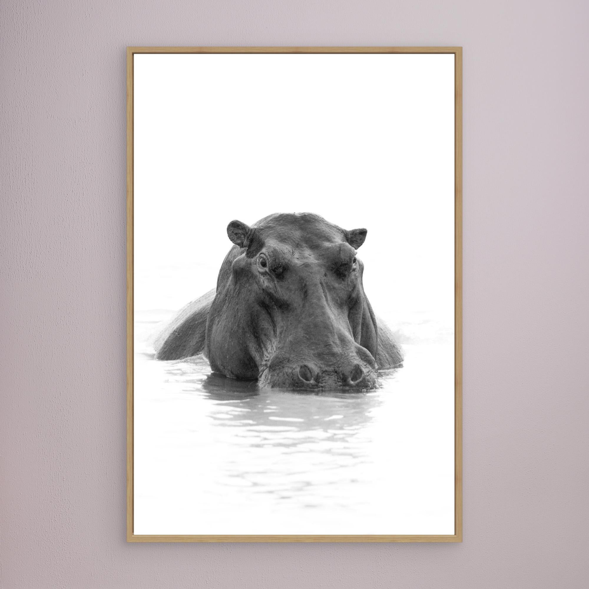 Hippo | Portrait Edition
