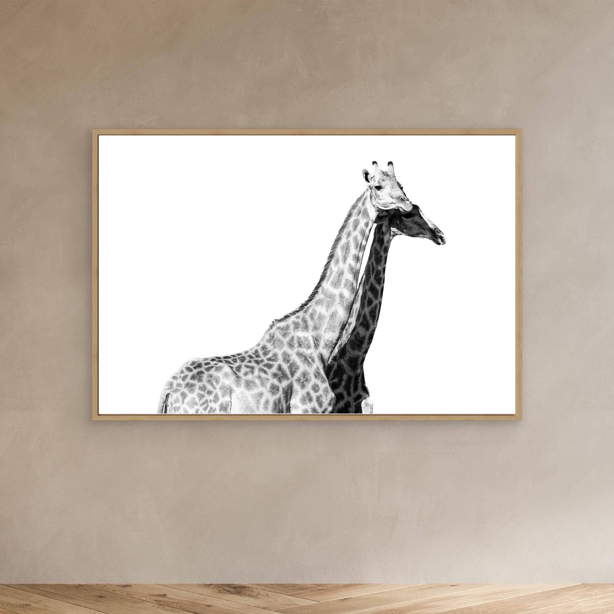 Africa’s Skyline Walkers | Portrait Edition