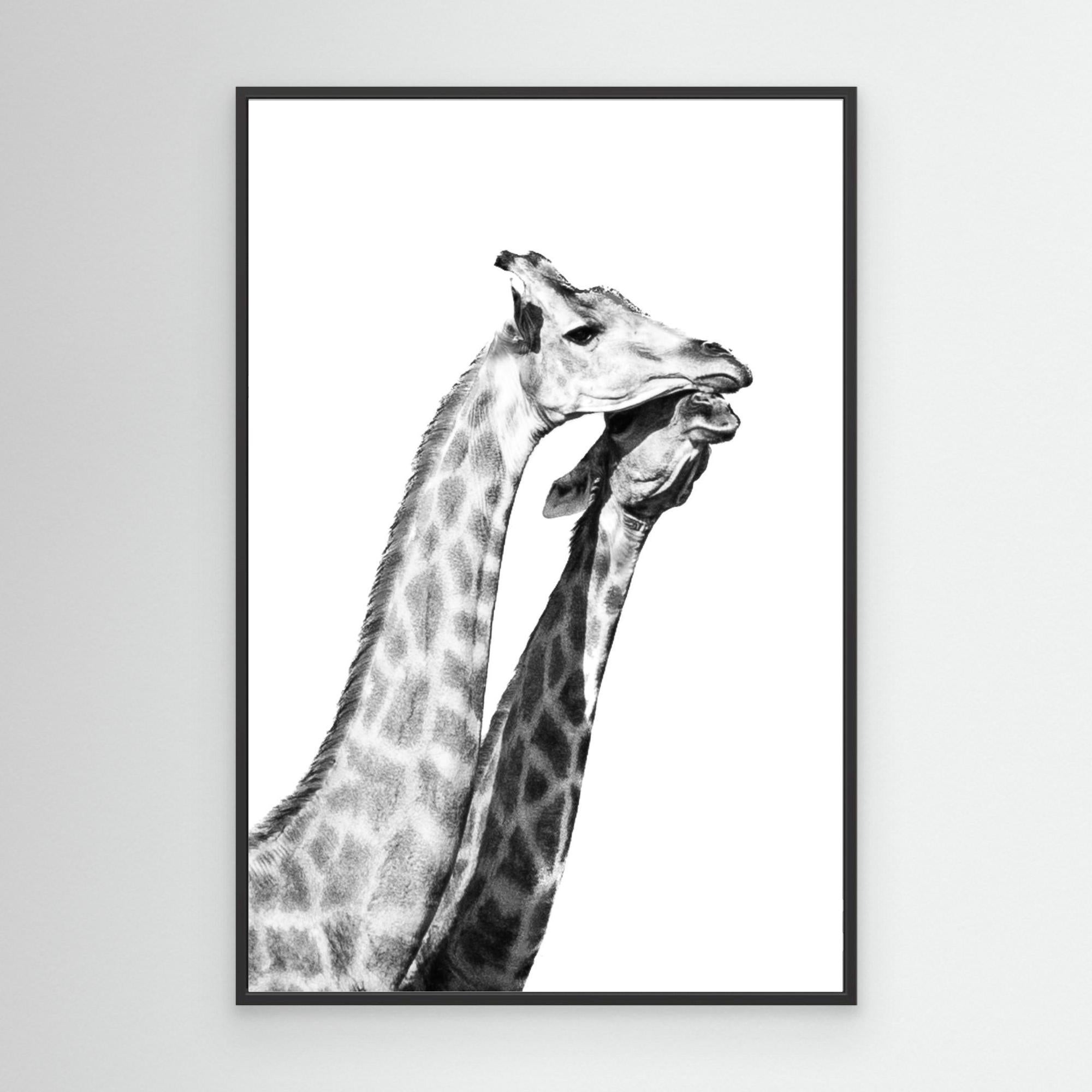 Africa’s Skyline Walkers in Love | Portrait Edition