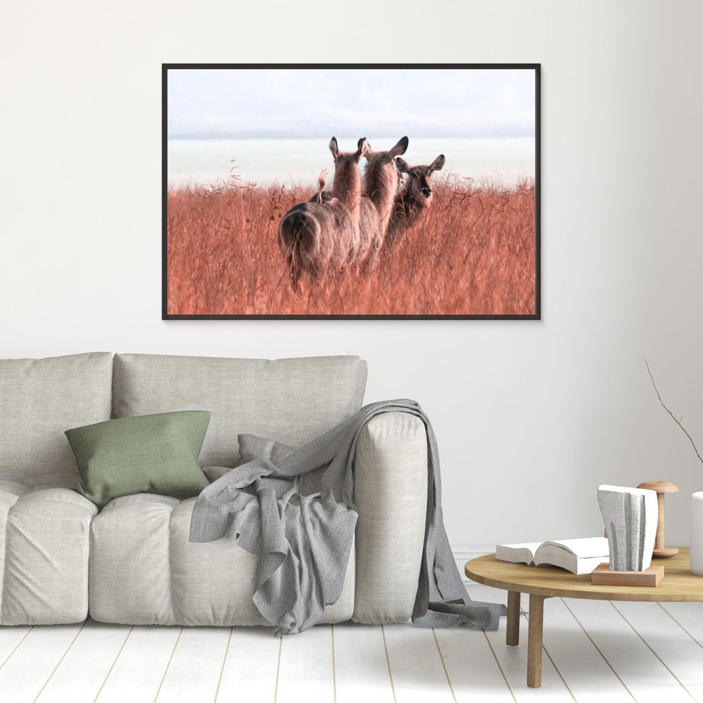 Africa’s Magic | Portrait Edition