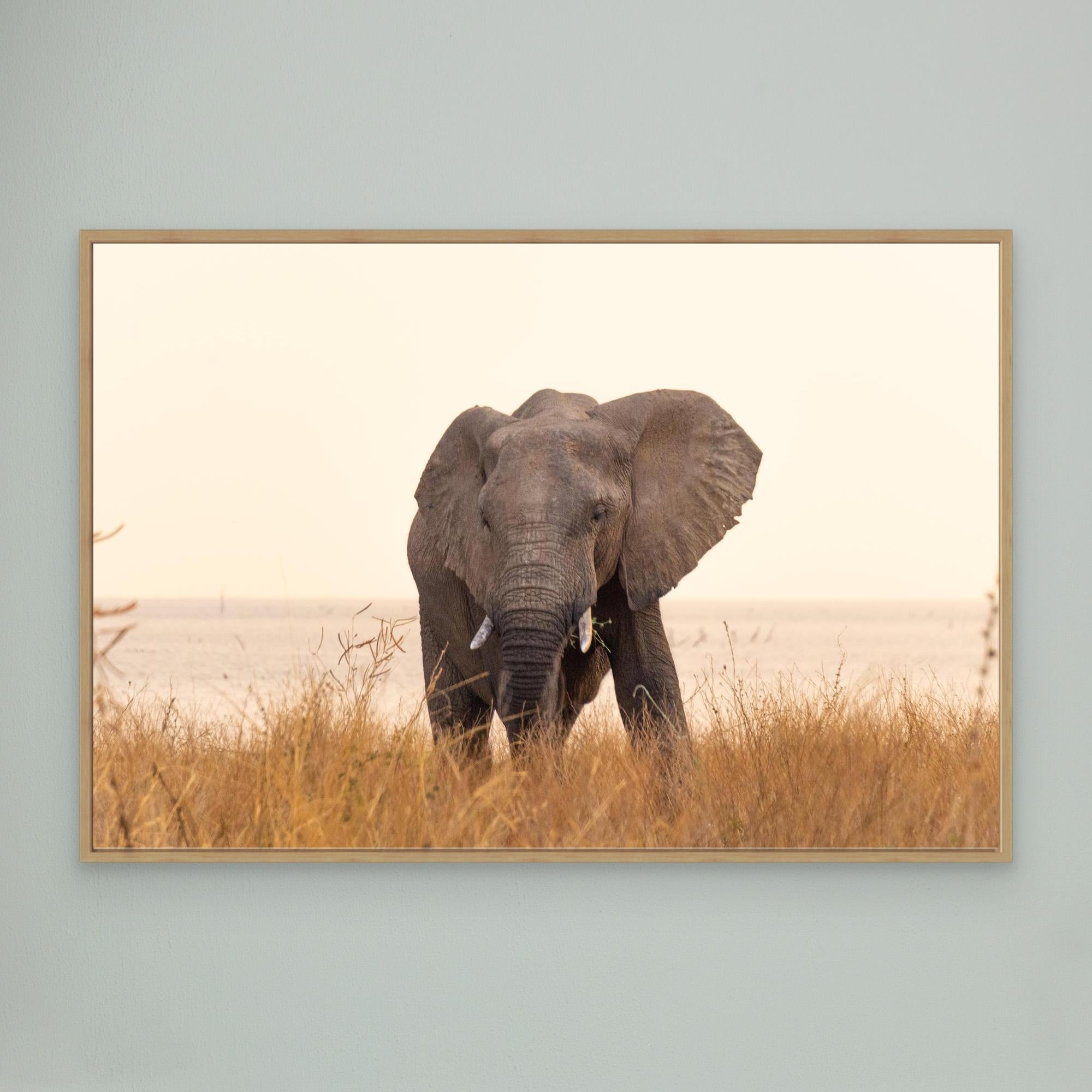Elephants | Portrait Edition