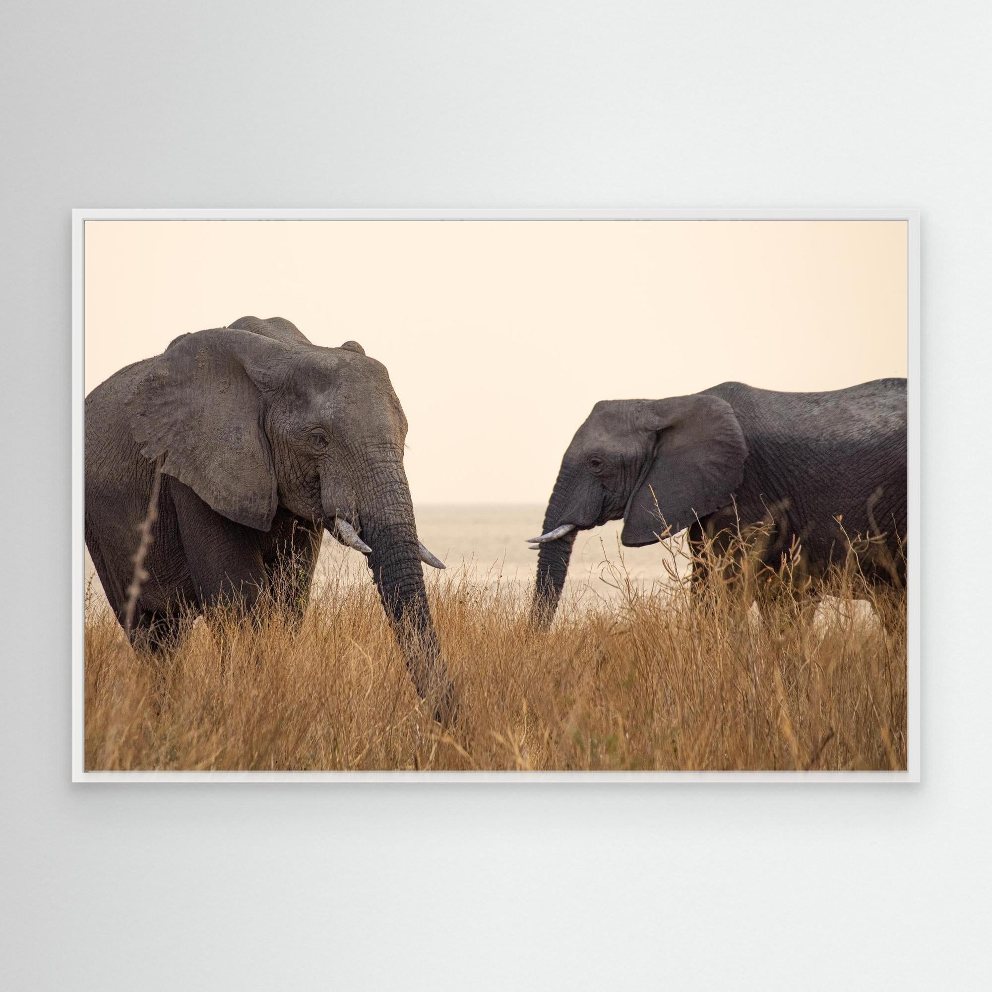 Elephants | Portrait Edition