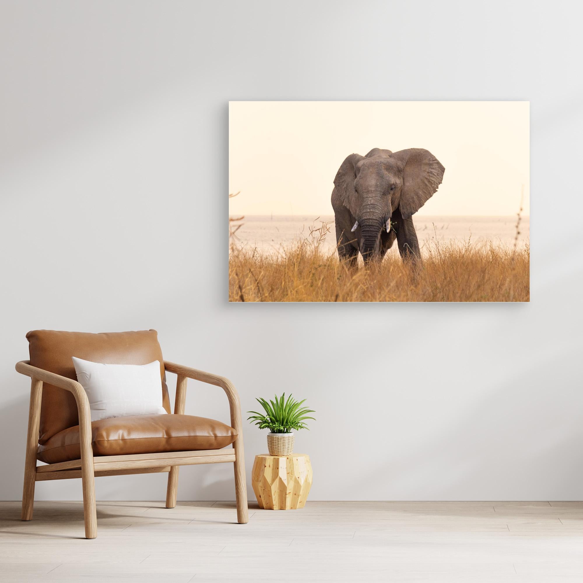 Elephants | Portrait Edition