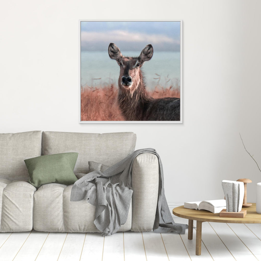 Africa’s Magic | Portrait Edition