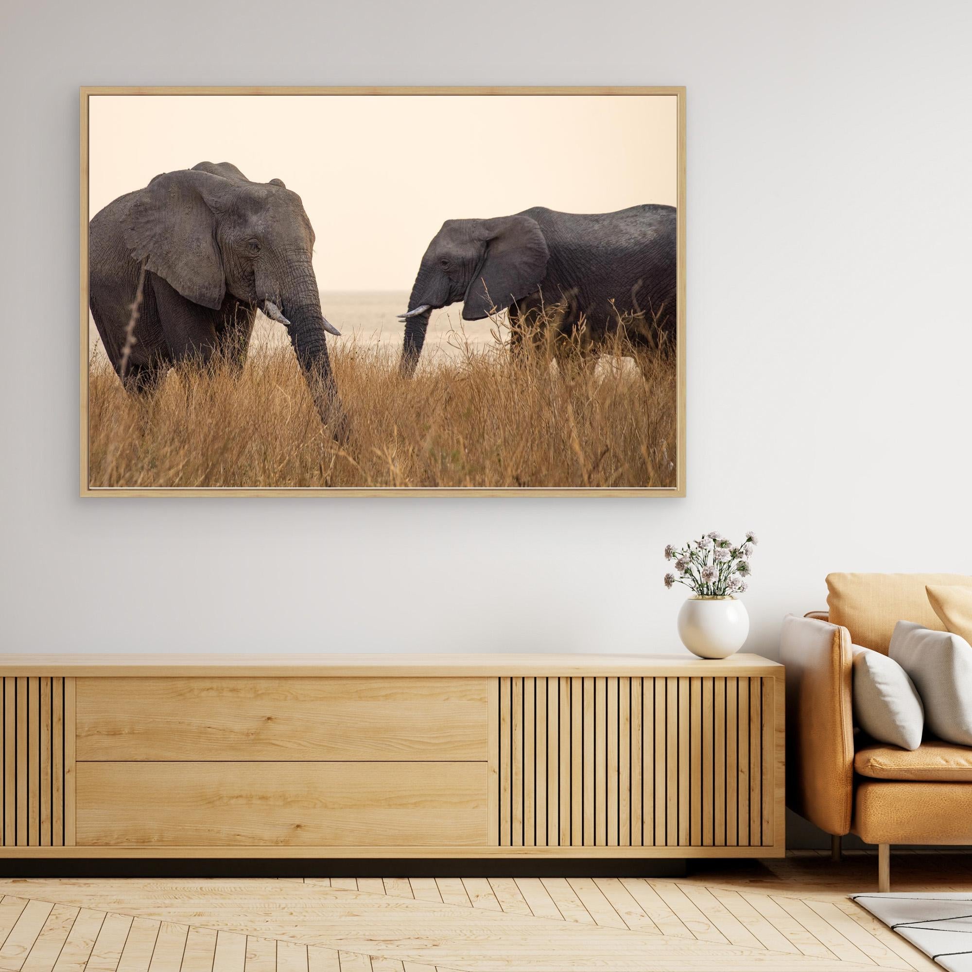Elephants | Portrait Edition